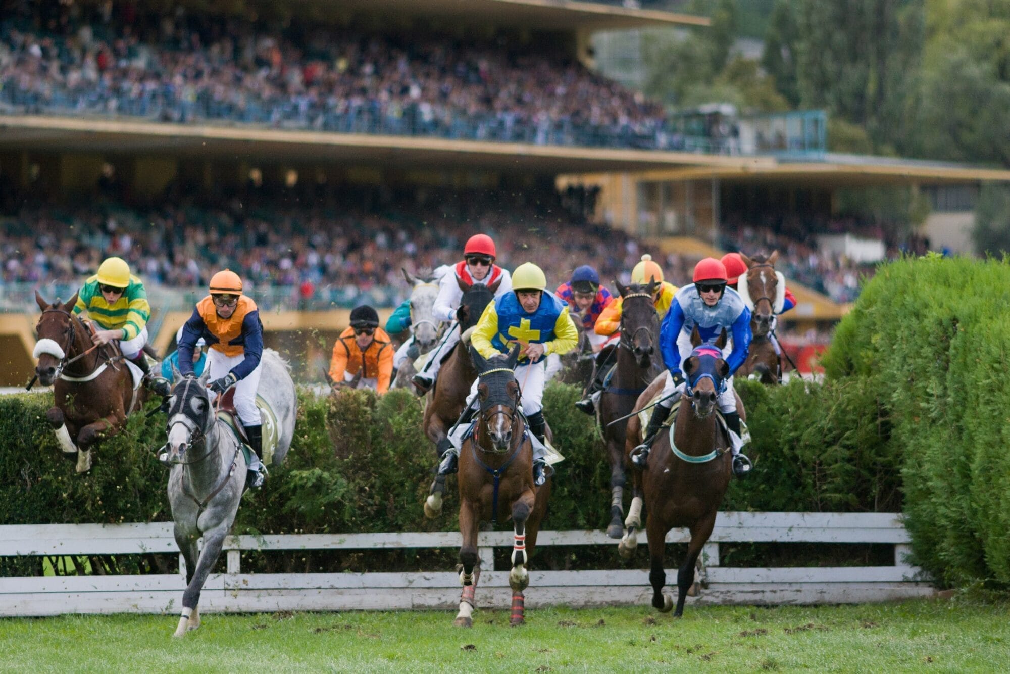 Das ist der Große Preis!