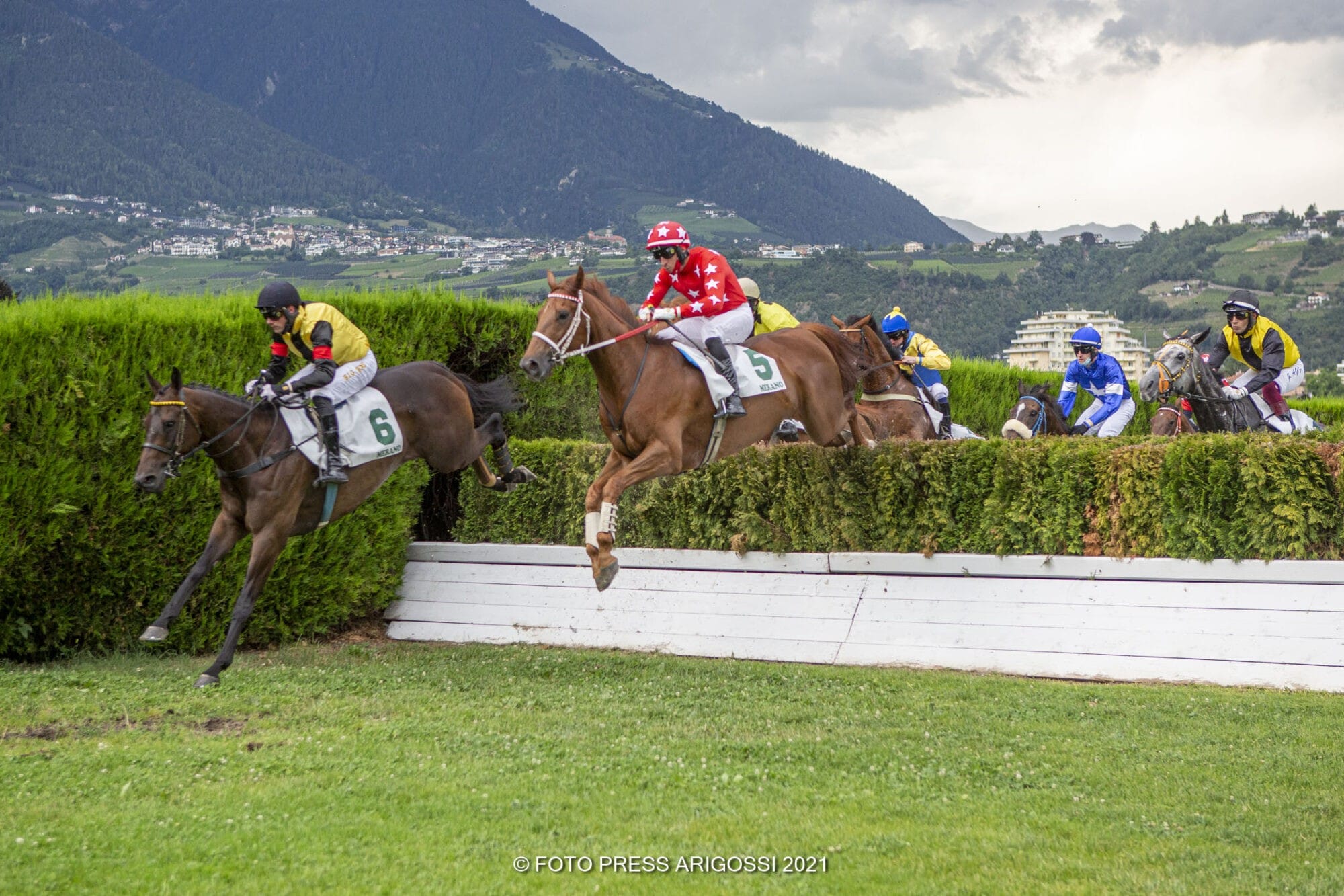 Live Your Life siegt im Großen Hürdenrennen von Italien