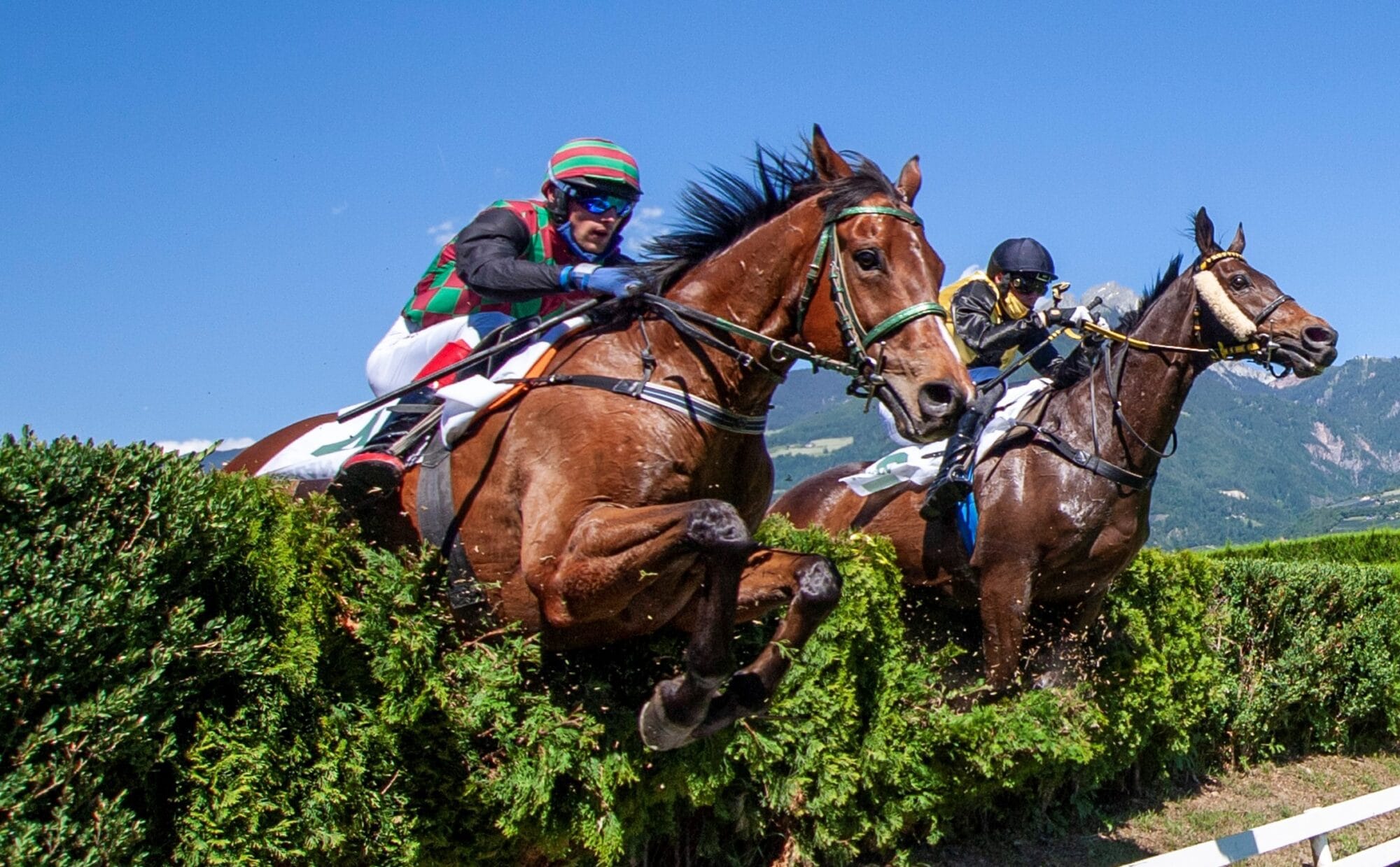 Am 20. Juni gelangt auf dem Pferderennplatz Meran ein neuer Renntag der Frühjahrsaison zur Austragung