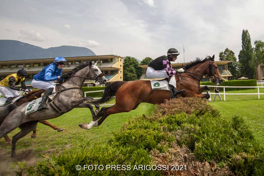 Turfwochenende mit 2 Renntagen am Samstag, 24. und Sonntag, 25. Juli