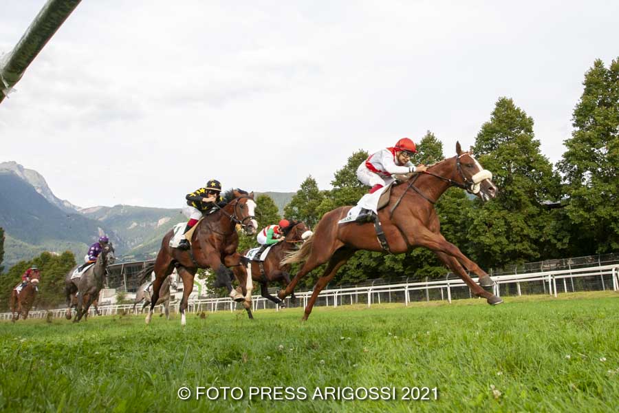 Global Hero siegt im Preis Daniele Porcu –  2 Siege für Fabio Branca