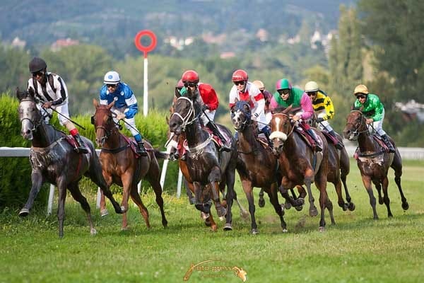 Auftakt zur Sommer – Herbstsaison