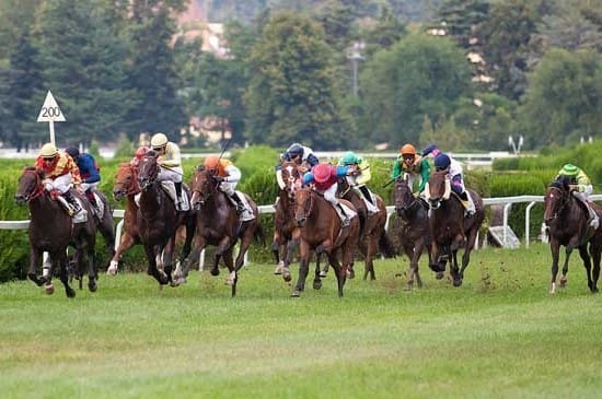 Elite der italienischen Profijockeys auf der Flachbahn am Start am Sonntag 25.Juli