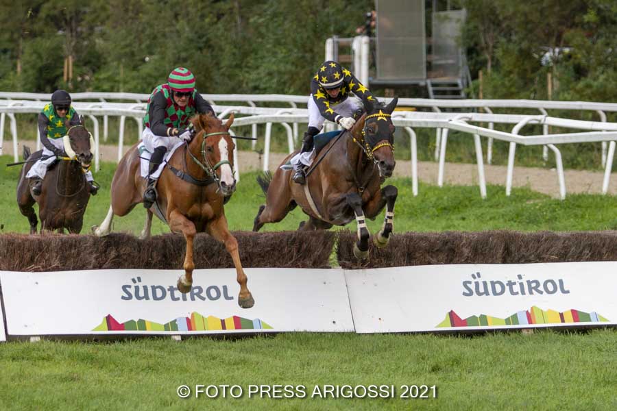 Assassin siegt im Hauptrennen – Poet’s Shadow Sieger im Jagdrennen – Haflingerrennen geht an The Beauty