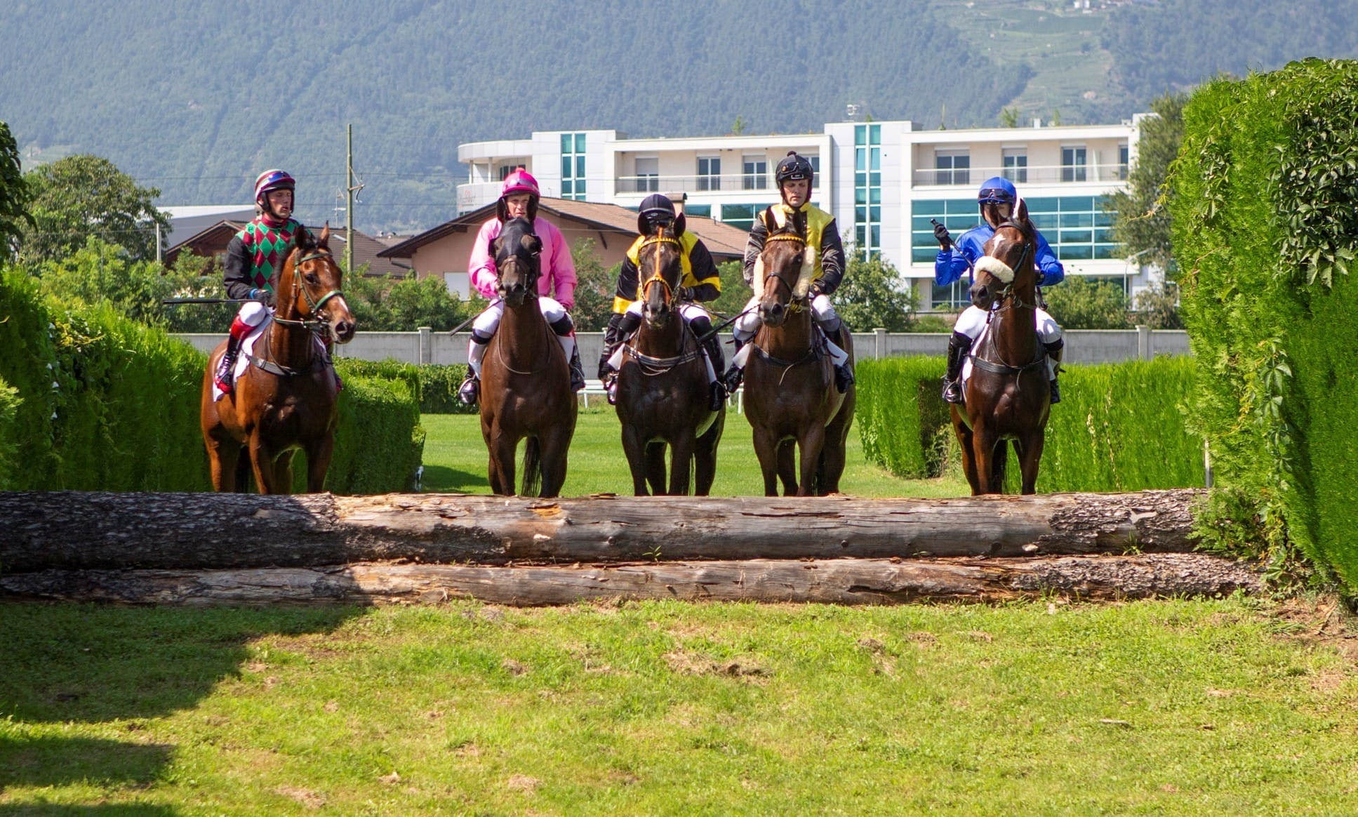 Turfwochenende mit 2 Renntagen am Samstag, 21. und Sonntag, 22. August