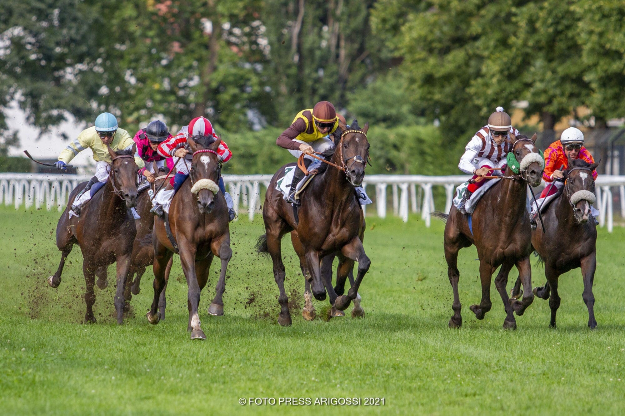 Großes Mittsommermeeting mit 2 Renntagen am Samstag, 14. und Sonntag, 15. August –