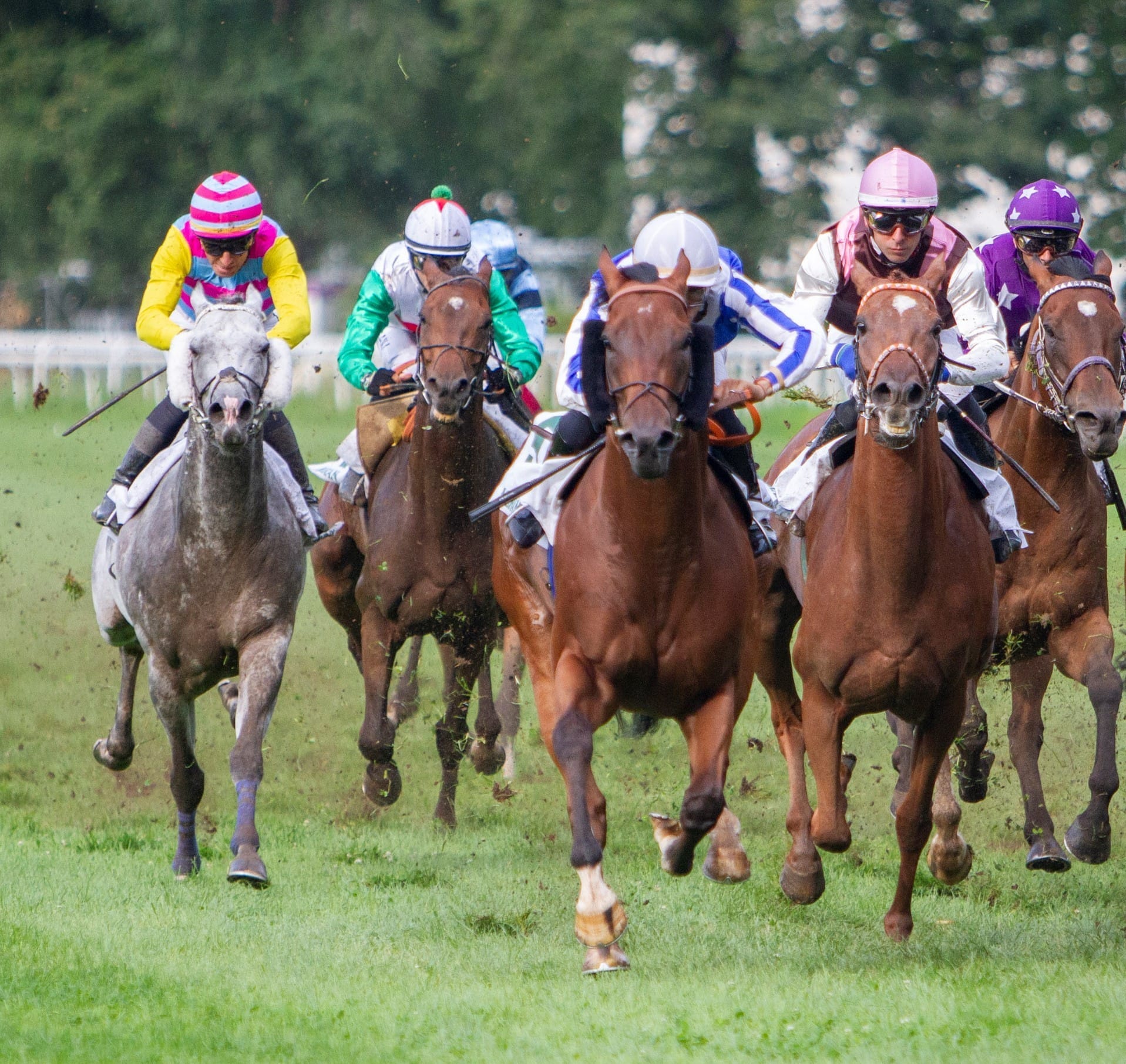 –  Preis EBF – Meraner Therme und Preis der Alpen am Sonntag auf der Flachbahn – Hochklassige Hindernisprüfungen