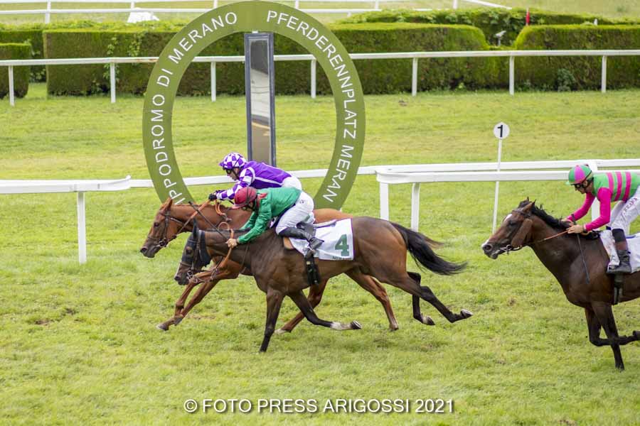 Französischer Doppelsieg im Preis Meran durch Rumbles Of Thunder und Quickstep Girl – 2 Siege von Fabio Branca