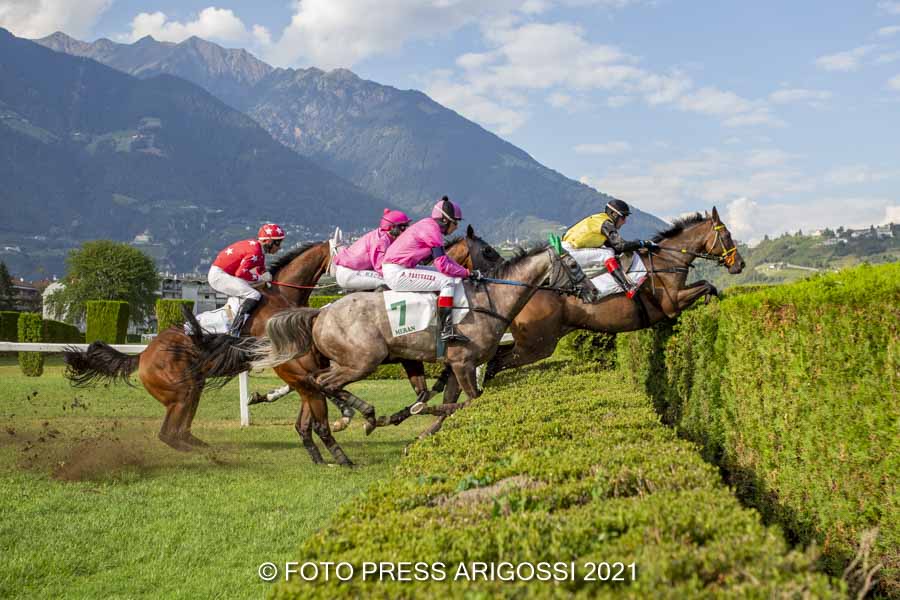 Ein anderer Sonntag am Pferderennplatz Meran: zur Vorbereitung der großen Preise