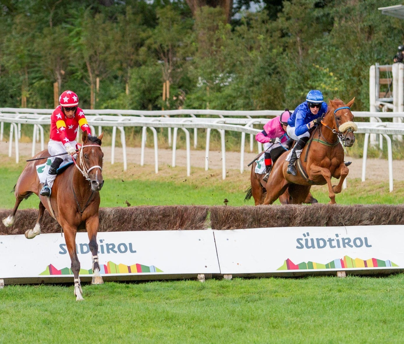 Al Bustan siegt im Jagdrennen um den Preis MIPAAF – Preis Tagliabue geht an Ocean Life