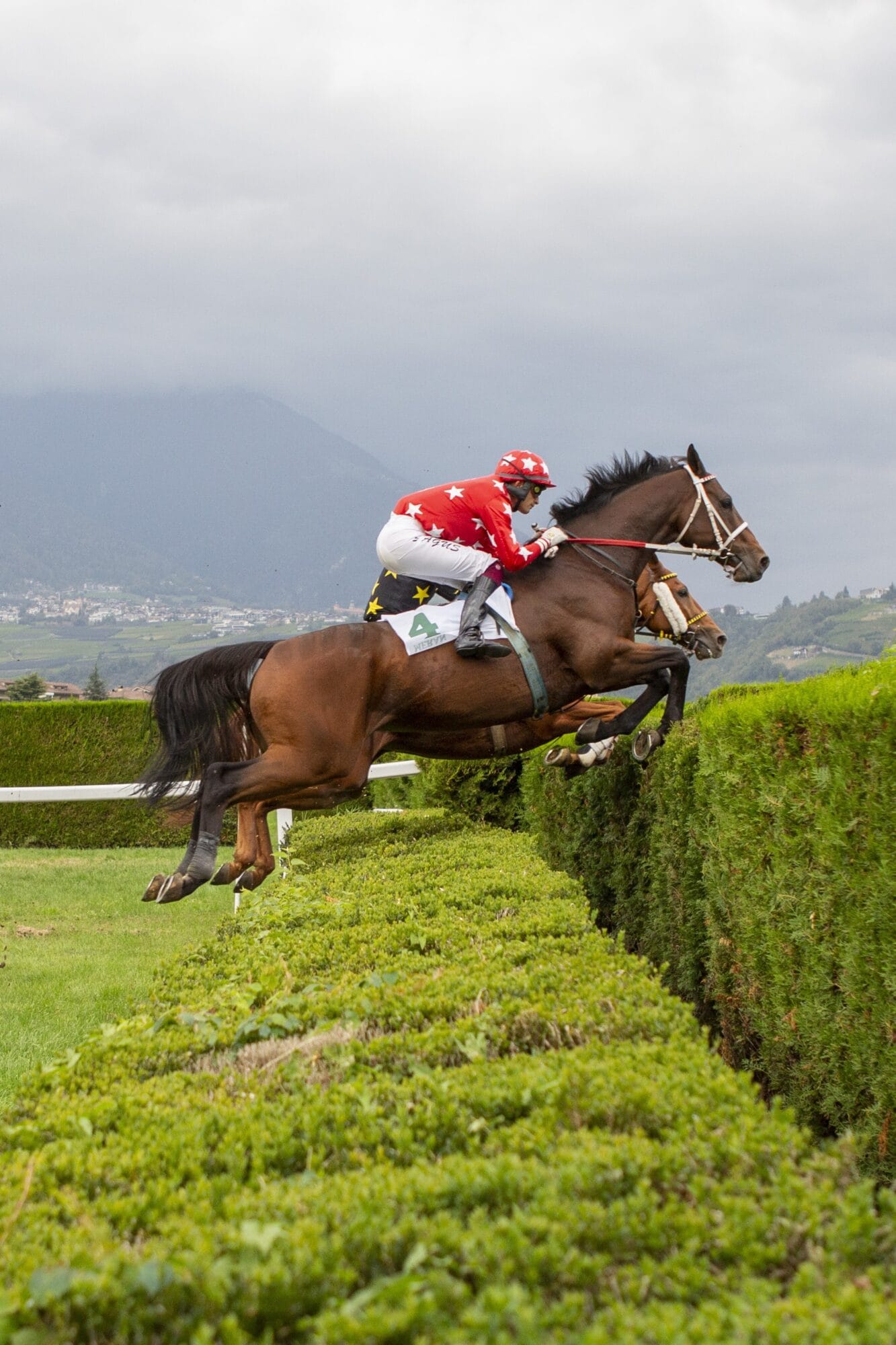 Domenica 17 ottobre penultima giornata di corse a Maia, vestita di colori autunnali.