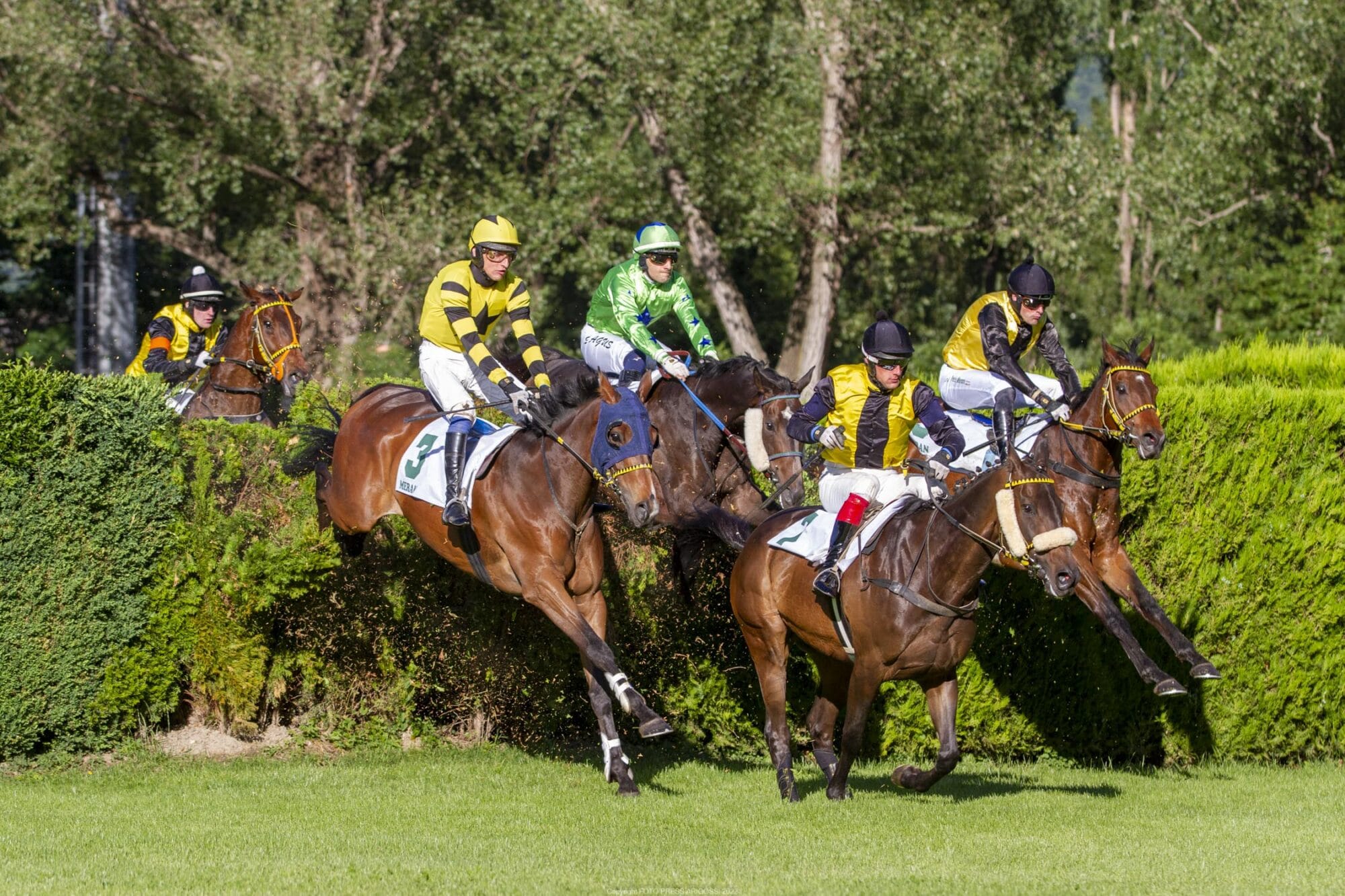 Ein Sonntag im Zeichen der Themenvielfalt.