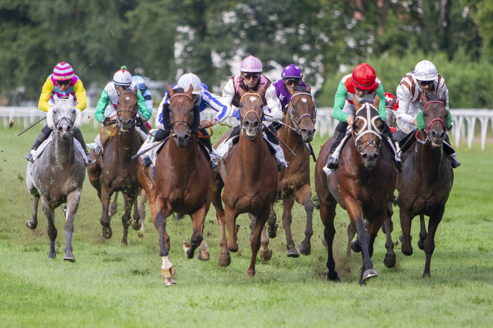 Professionelle Jockeys von Flachrennen kehren im Namen des Dorf Tirol-Day nach Maia zurück