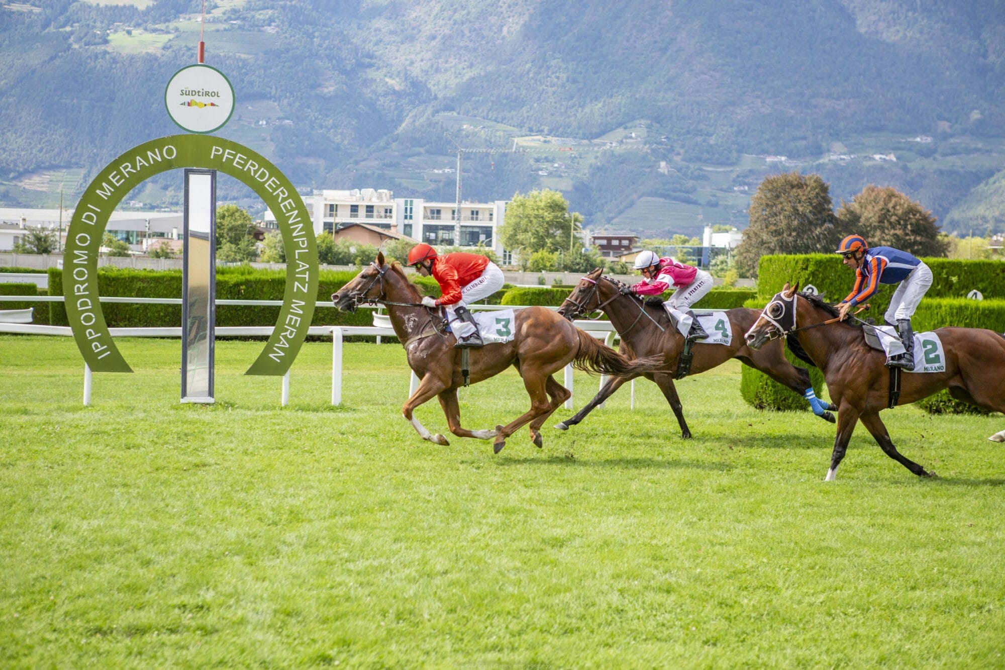 Acht spannende Rennen am ersten Sonntag im August.