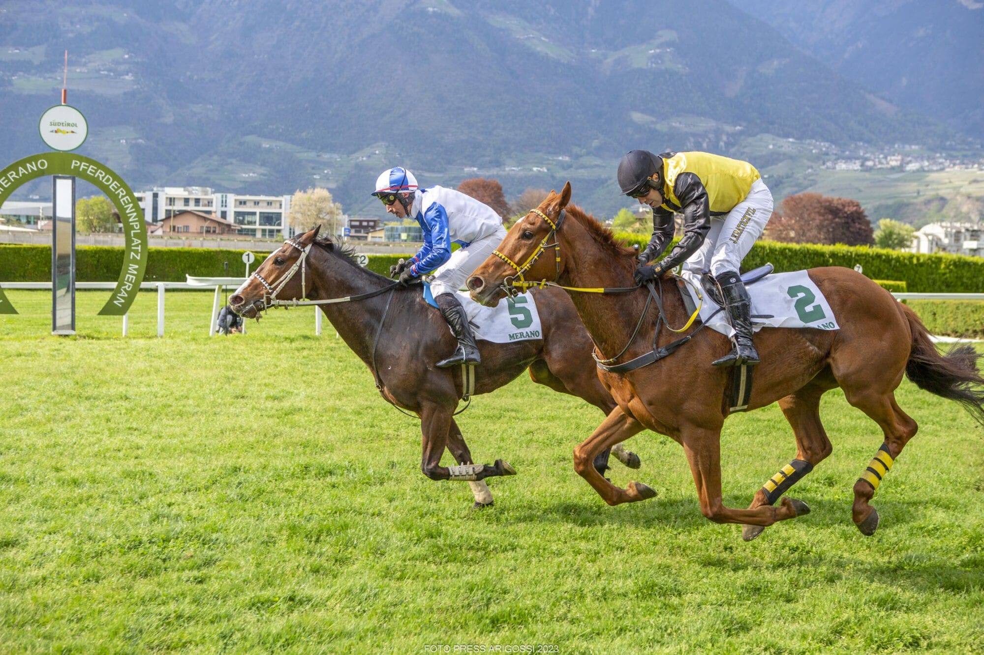 Domani Risplendi siegt im Preis Cogne