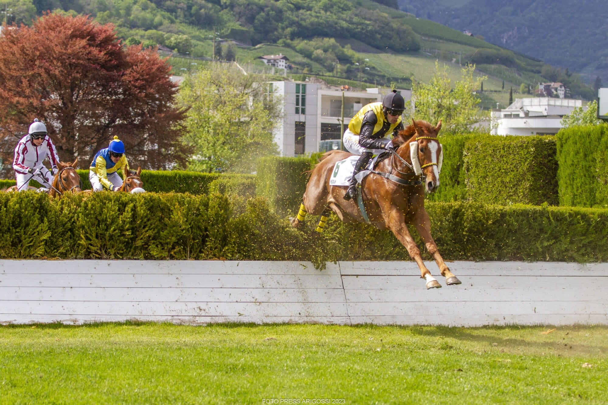 Kenzo Du Chenet überrascht im Preis Erste Hürden – Red Coral siegt im Preis Pietro Santoni