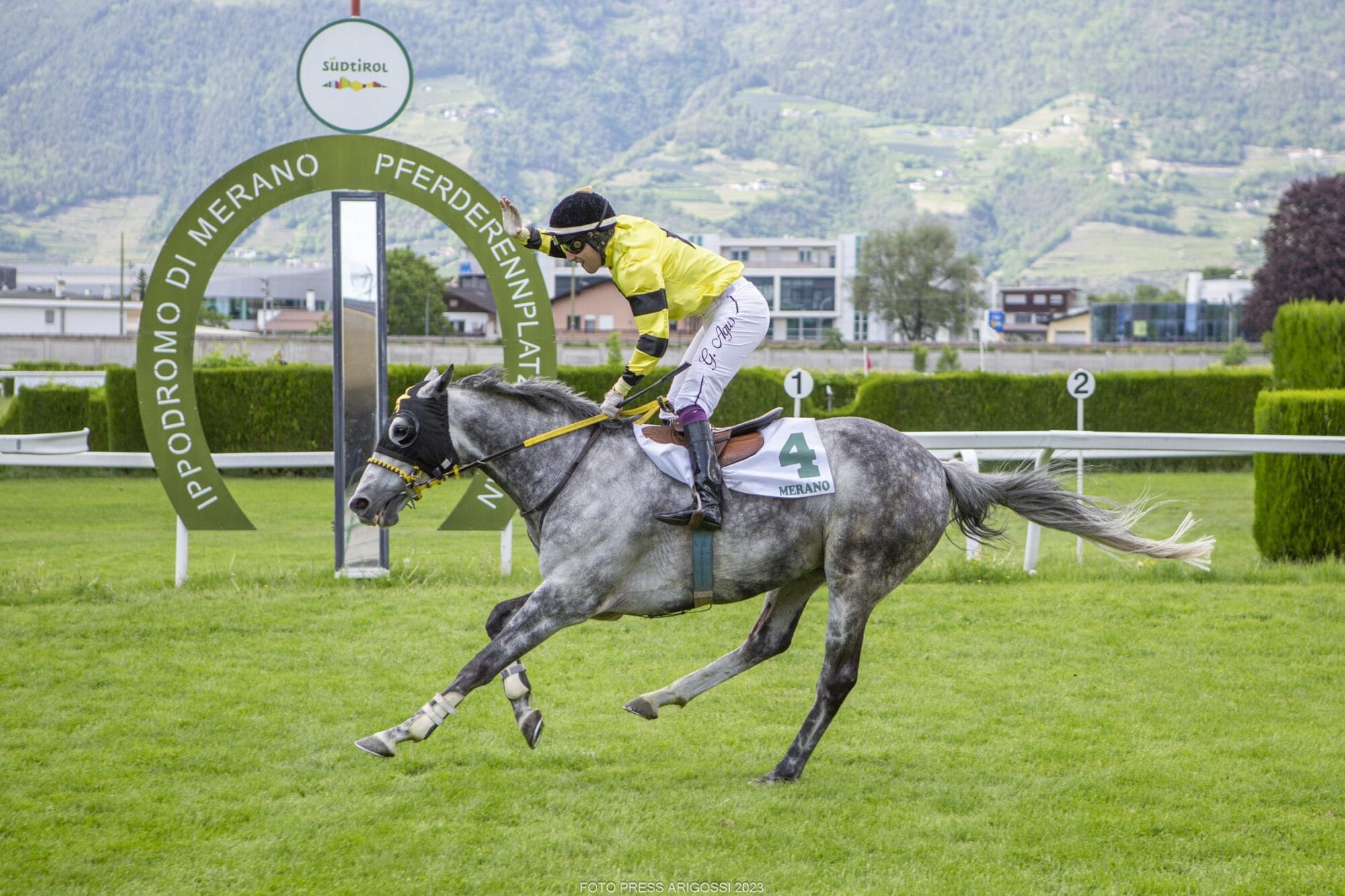 Zain Master siegt im Preis Rigoureux vor Darzan