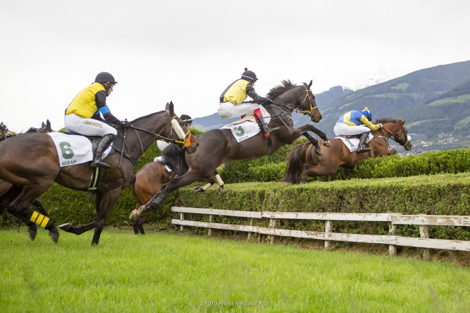 Flach und Hindernisrennen der Vollblüter stehen am Sonntag, 21. Mai auf dem Programm