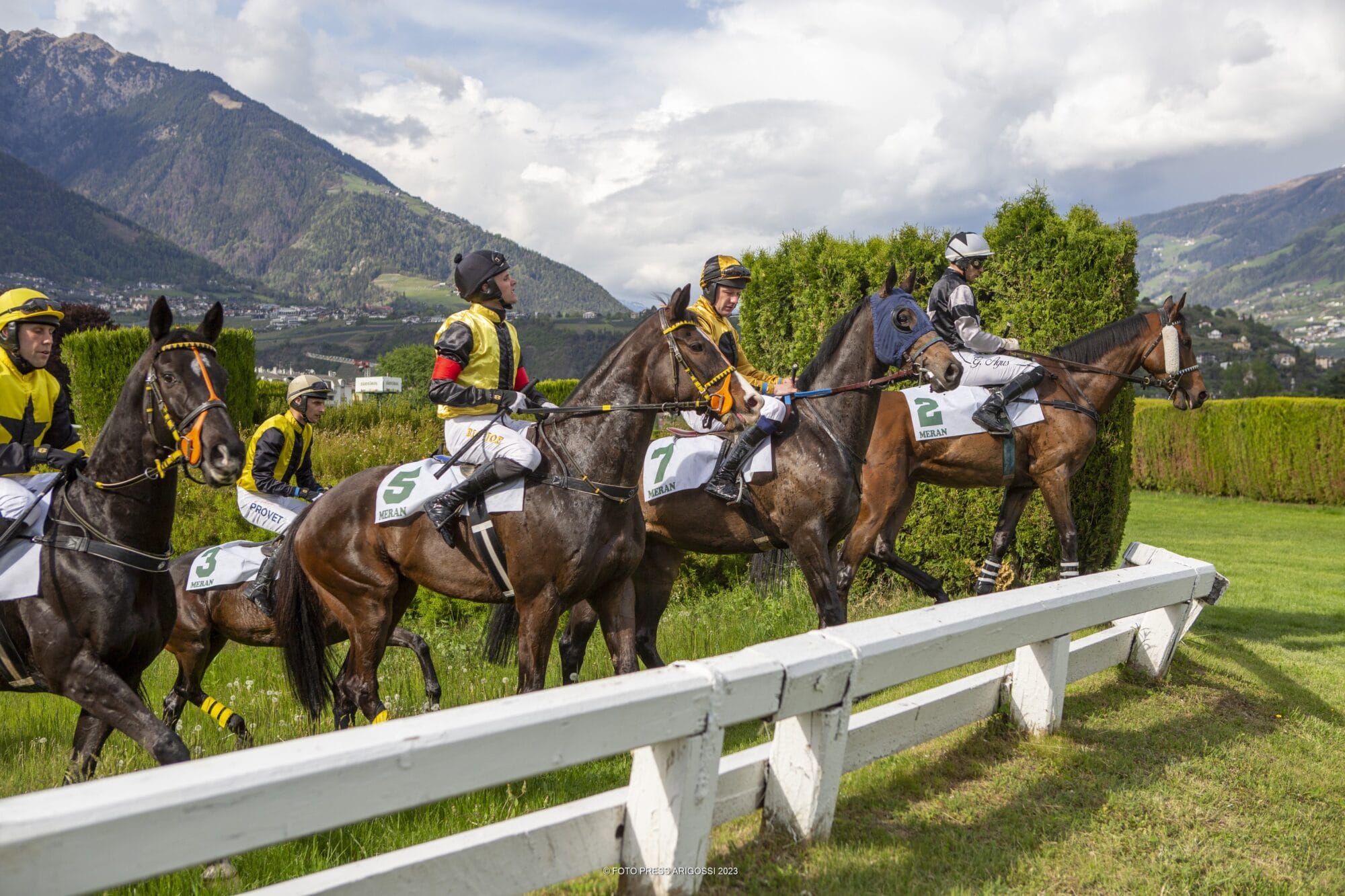 Flach – und Hindernisrennen der Vollblüter und ein Rennen für die Haflingerpferde stehen am Sonntag, 7. Mai  auf dem Programm