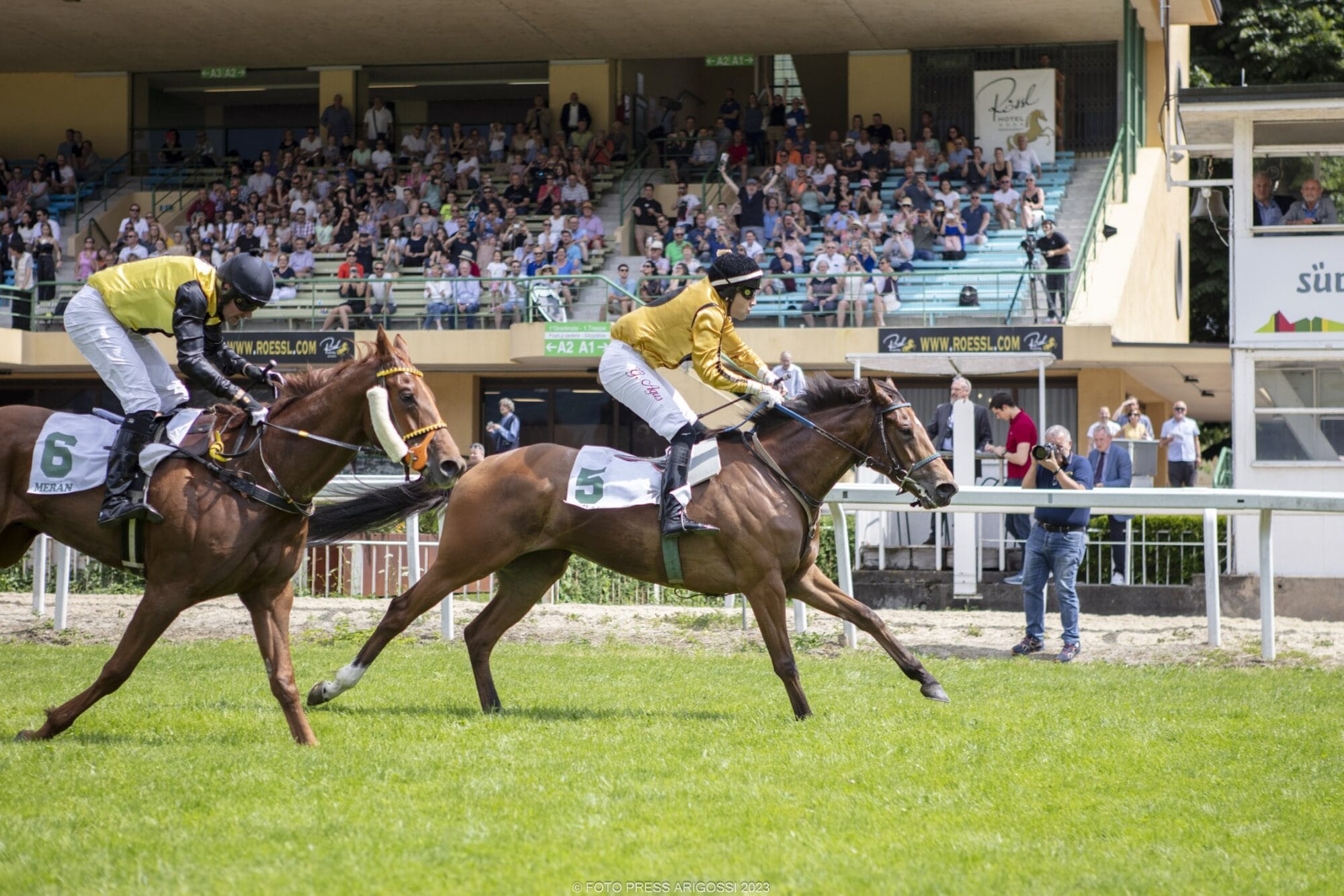 La Salinero und Altus siegen in den Hauptrennen