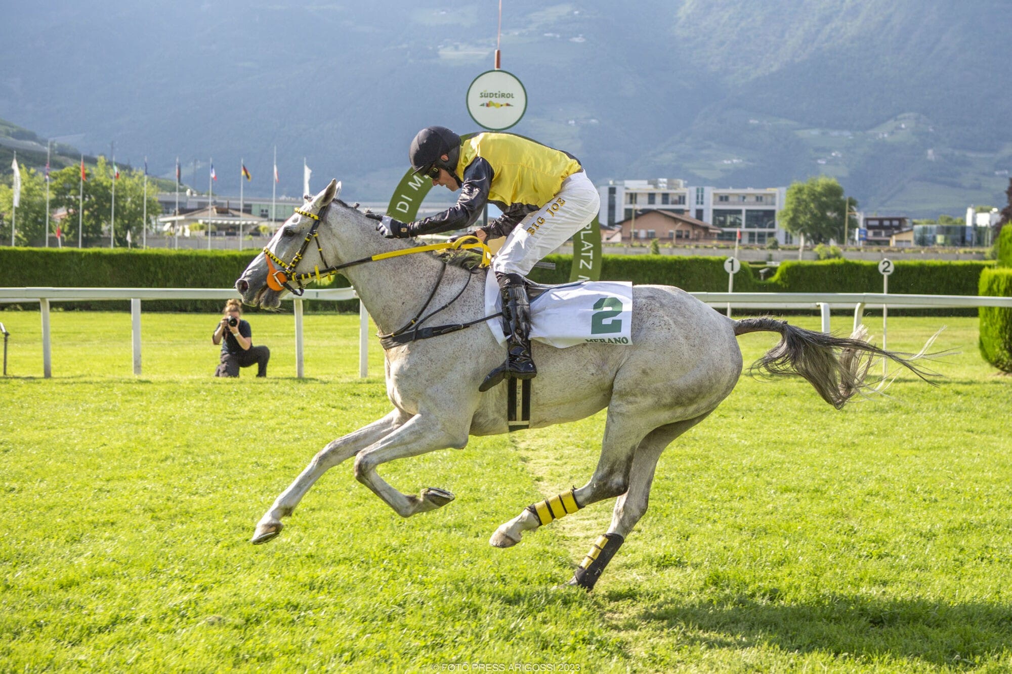 Doppelsieg für den Rennstall Aichner durch Mauricius und Zanini im 15. Großen Hürdenrennen von Italien