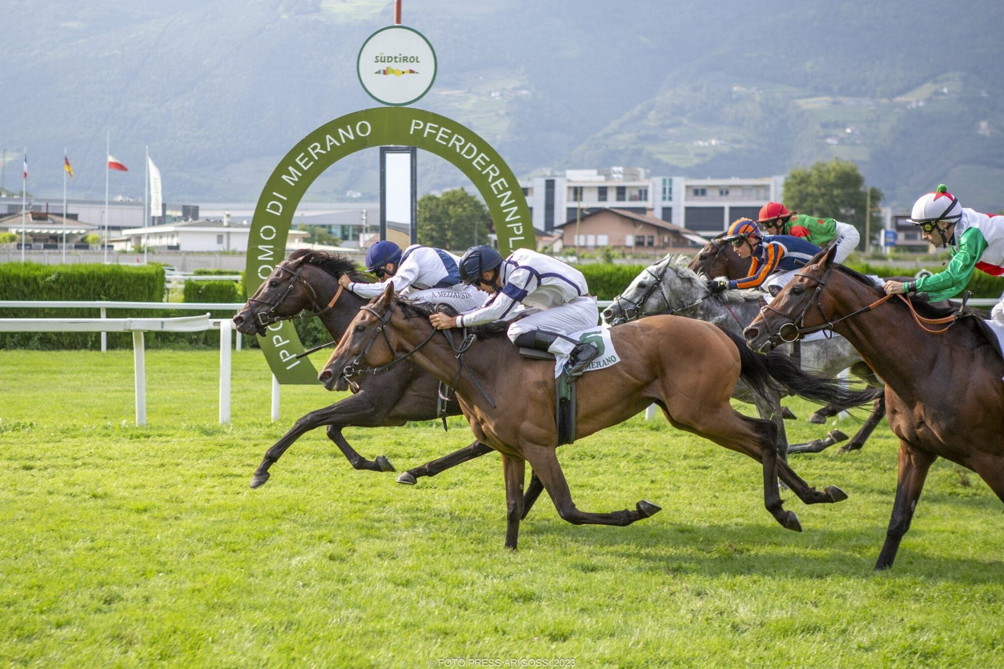 The King’s Horses überrascht im Preis Trotto & Turf – Altus Sieger im Preis Alberto Oppo