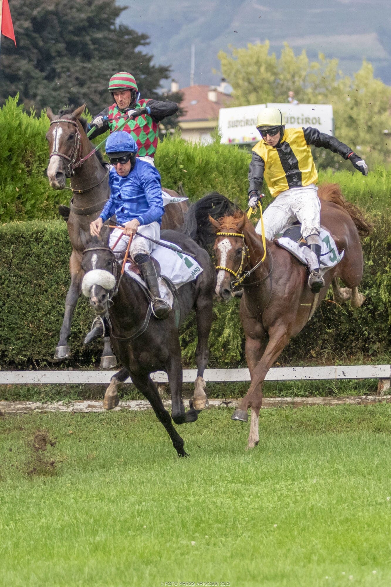 Auf dem Pferderennplatz Meran geht am Sonntag, 3. September der 10. Renntag der Sommer – Herbst – Saison in Szene