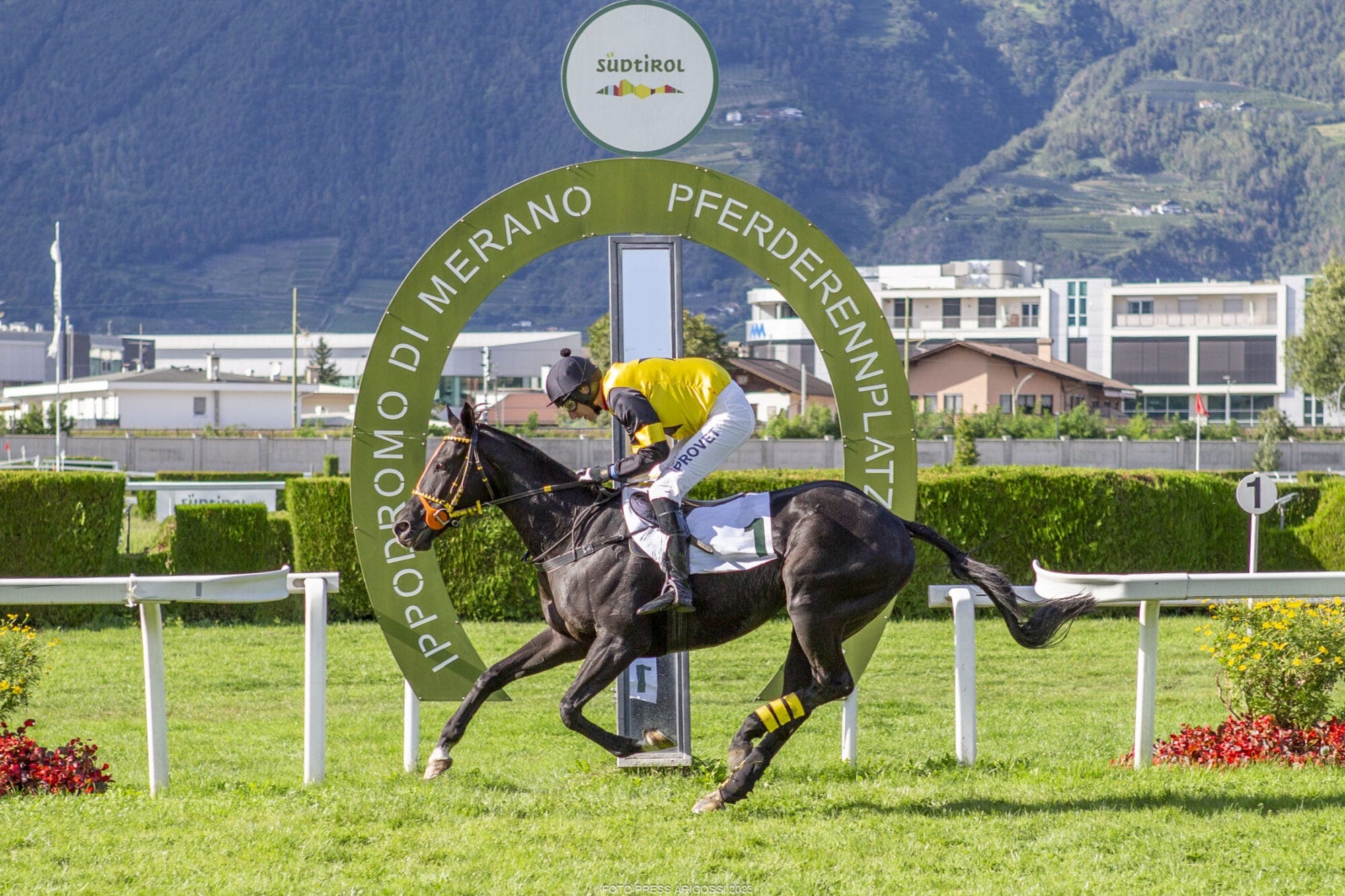 Burschi siegt im Preis der Steeplechases D’Italia – Preis der Nationen an Almost Human