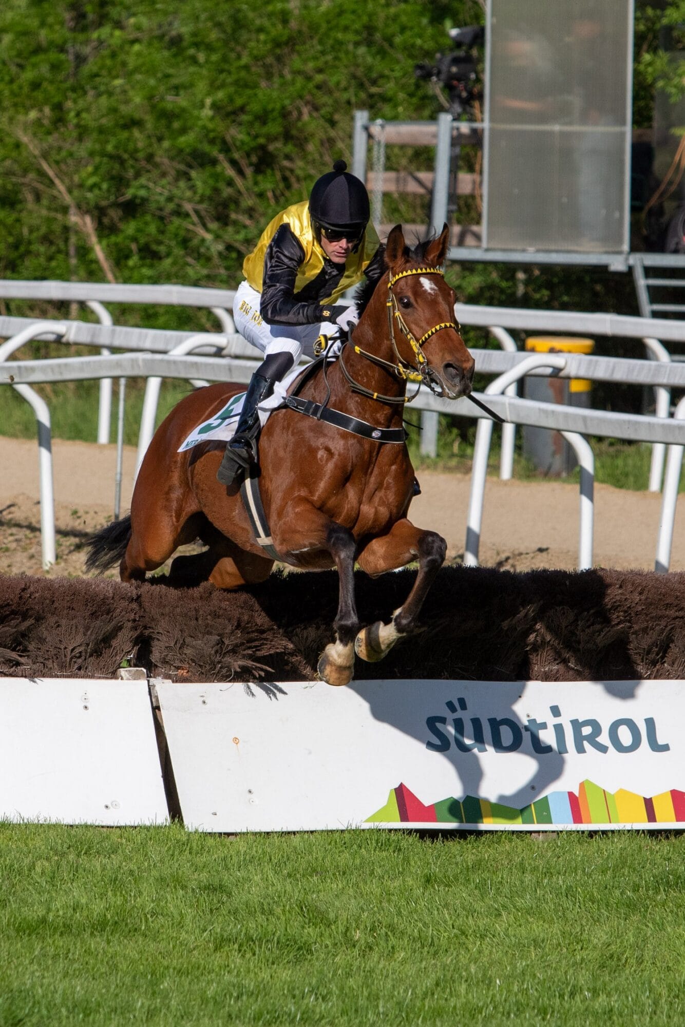 Real Wild Child und Apex sind die Sieger des Tages