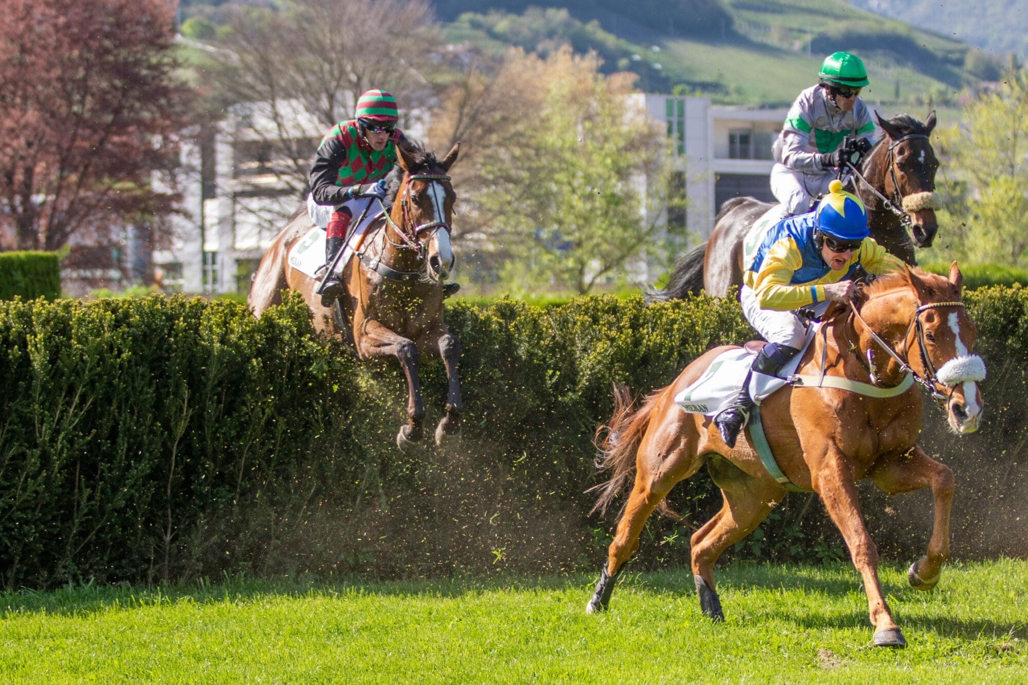 2. Renntag der Turfsaison am Sonntag, 21. April