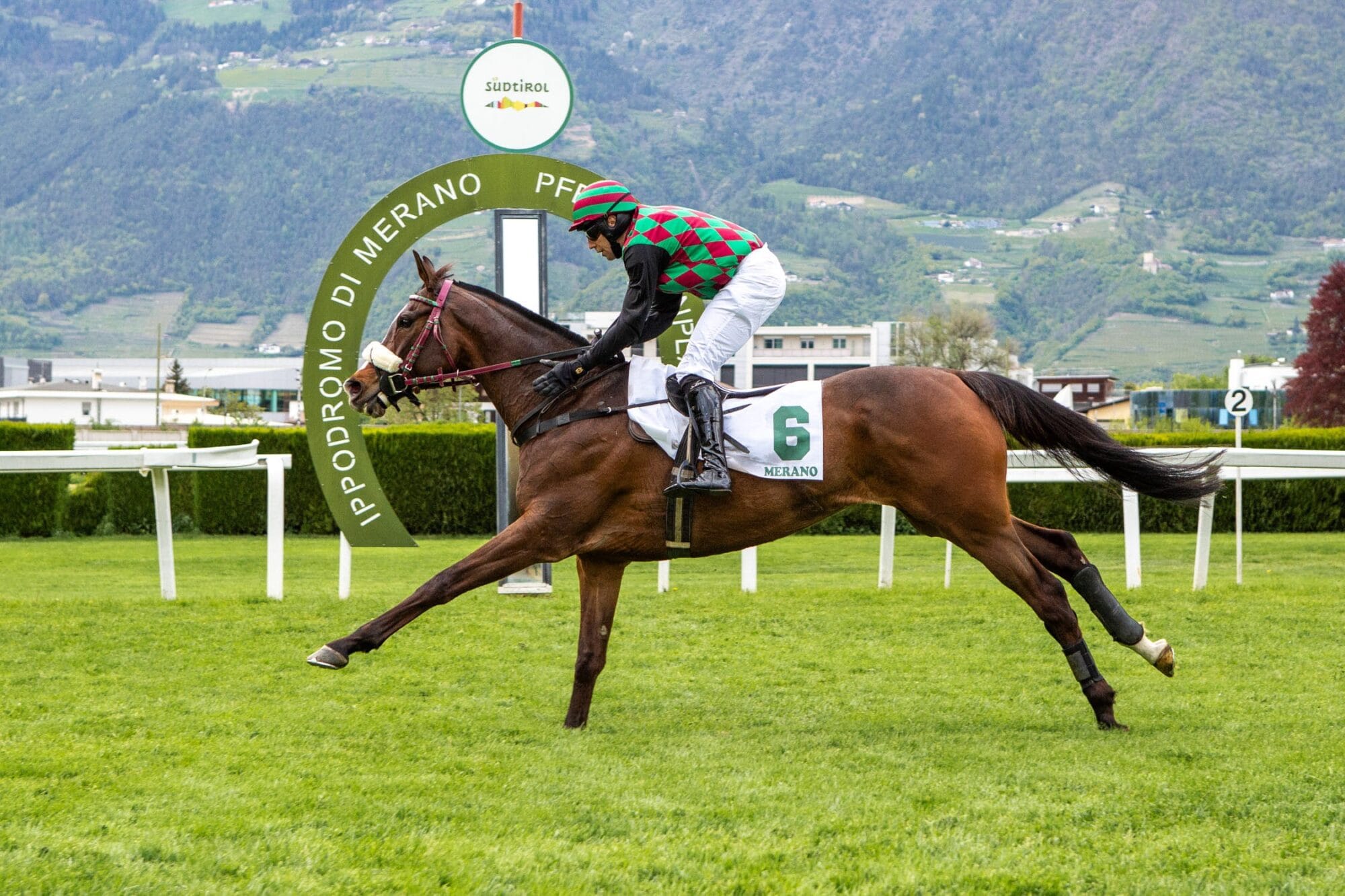 Natam ist nicht zu schlagen – Der Wallach siegt vor Vezzana im Preis Pietro Santoni