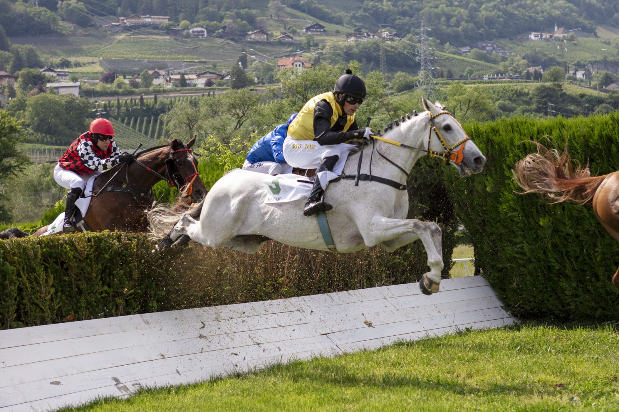 Mauricius siegt in der Generalprobe für das Große Hürdenrennen von Italien – Khabib überrascht im Preis Erste Hürden