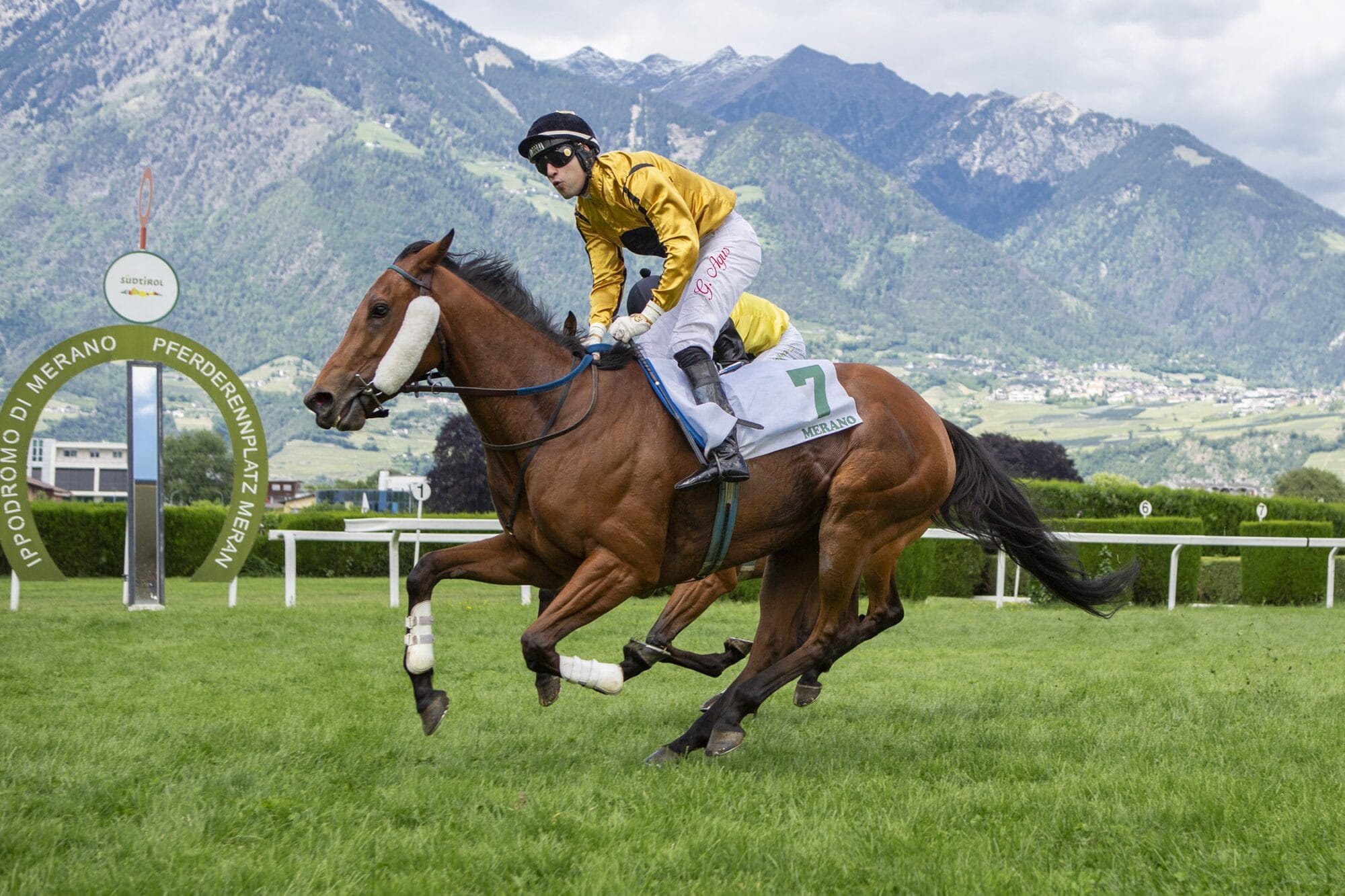 Policasta siegt im Preis Schenna