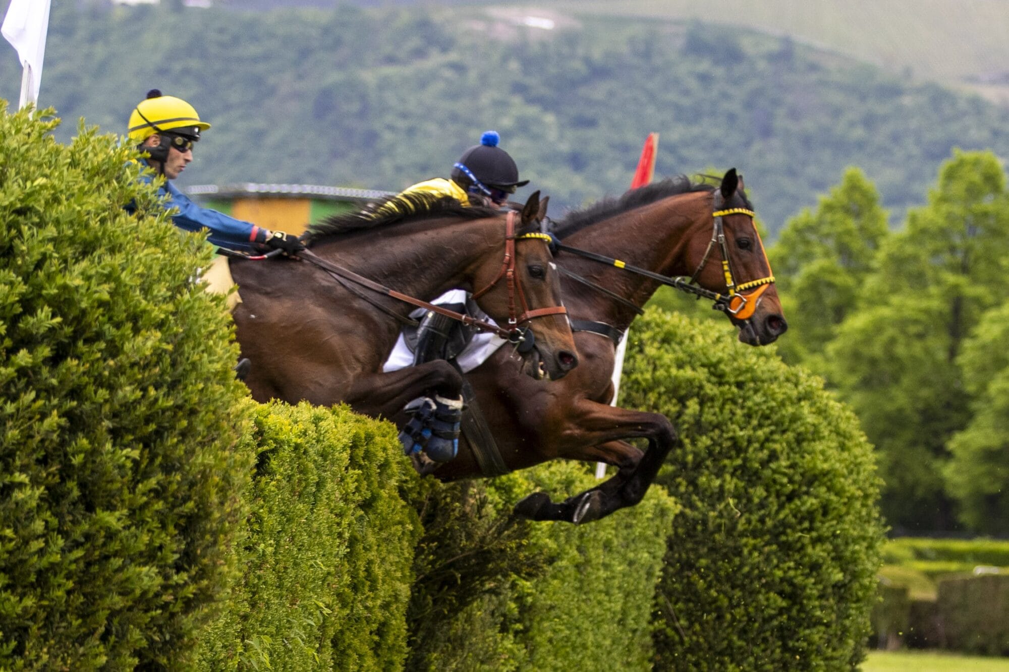 4. Renntag der Turfsaison am Sonntag, 5. Mai
