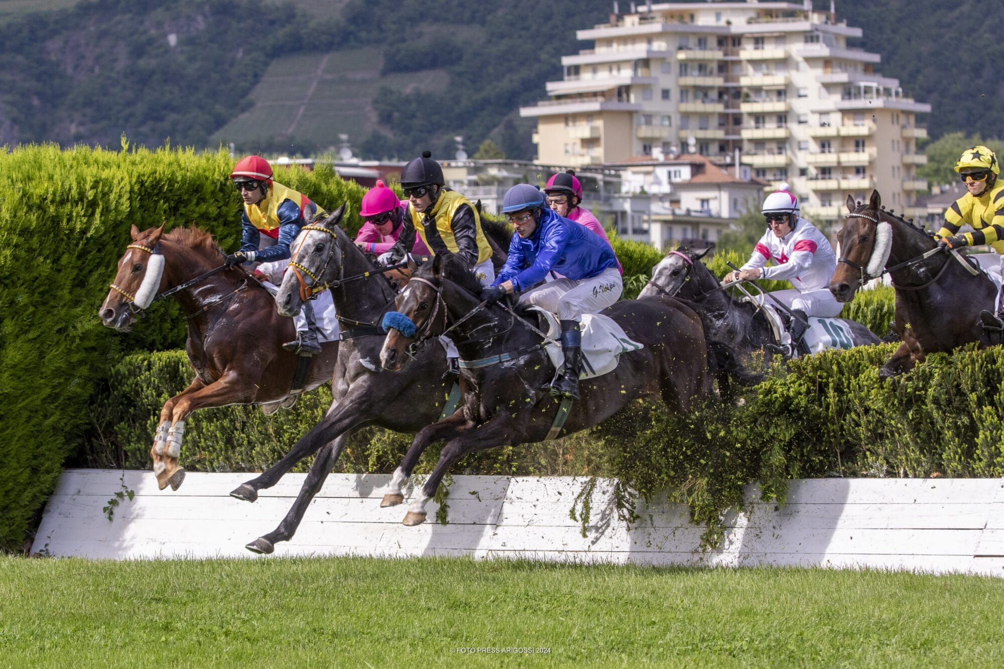 Neuer Renntag der Turfsaison am Sonntag, 12. Mai