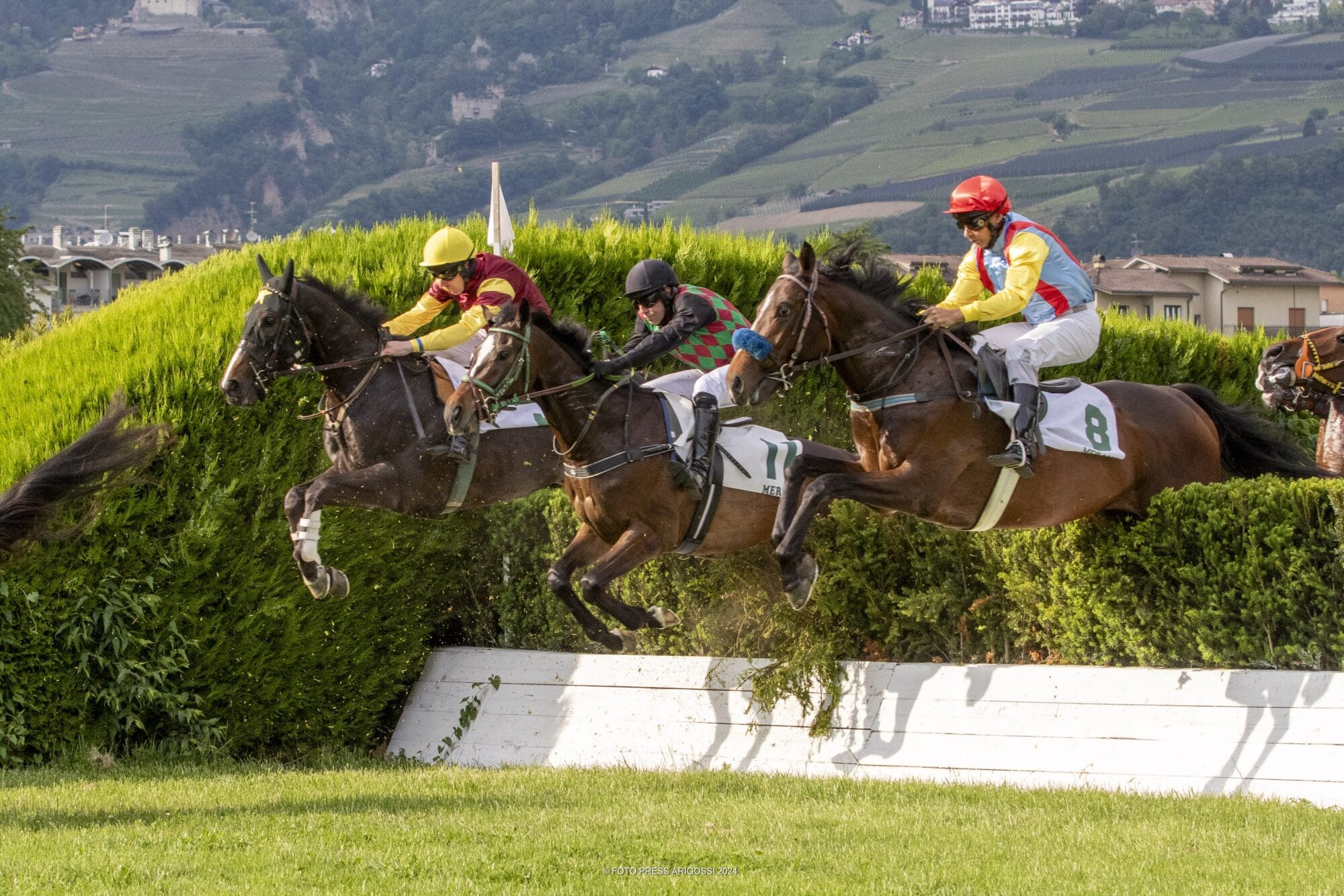 Neuer Renntag der Turfsaison am Sonntag, 19. Mai