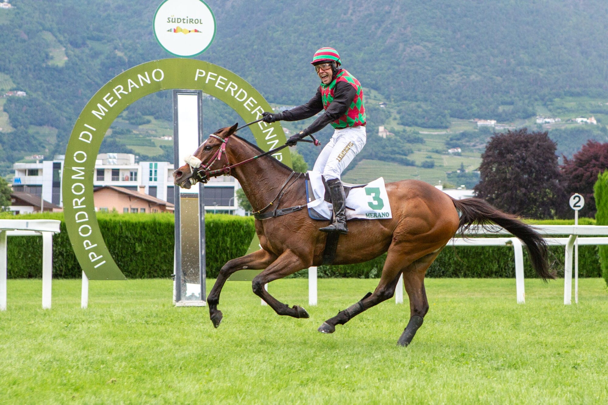 Natam siegt im Großen Hürdenrennen von Europa – Jan Kratochvil mit 4 Tagessiegen