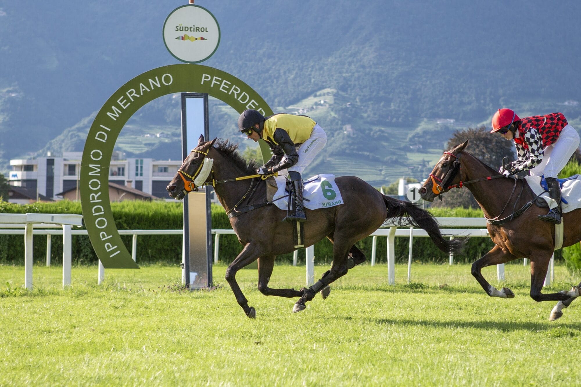 Piton Des Neiges und Zio Reginaldo eröffnen das Sommermeeting