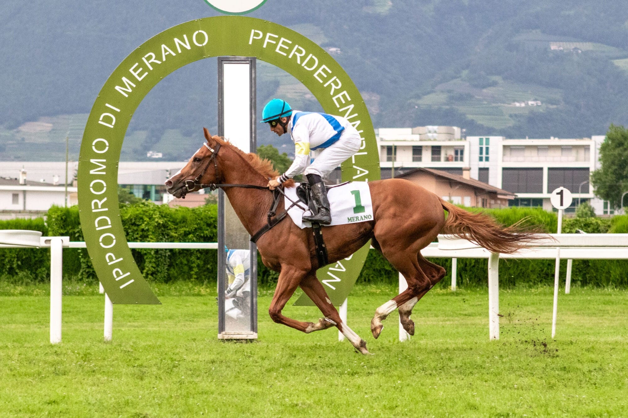 Uragano und Luca Maniezzi siegen im Preis Imperial Art