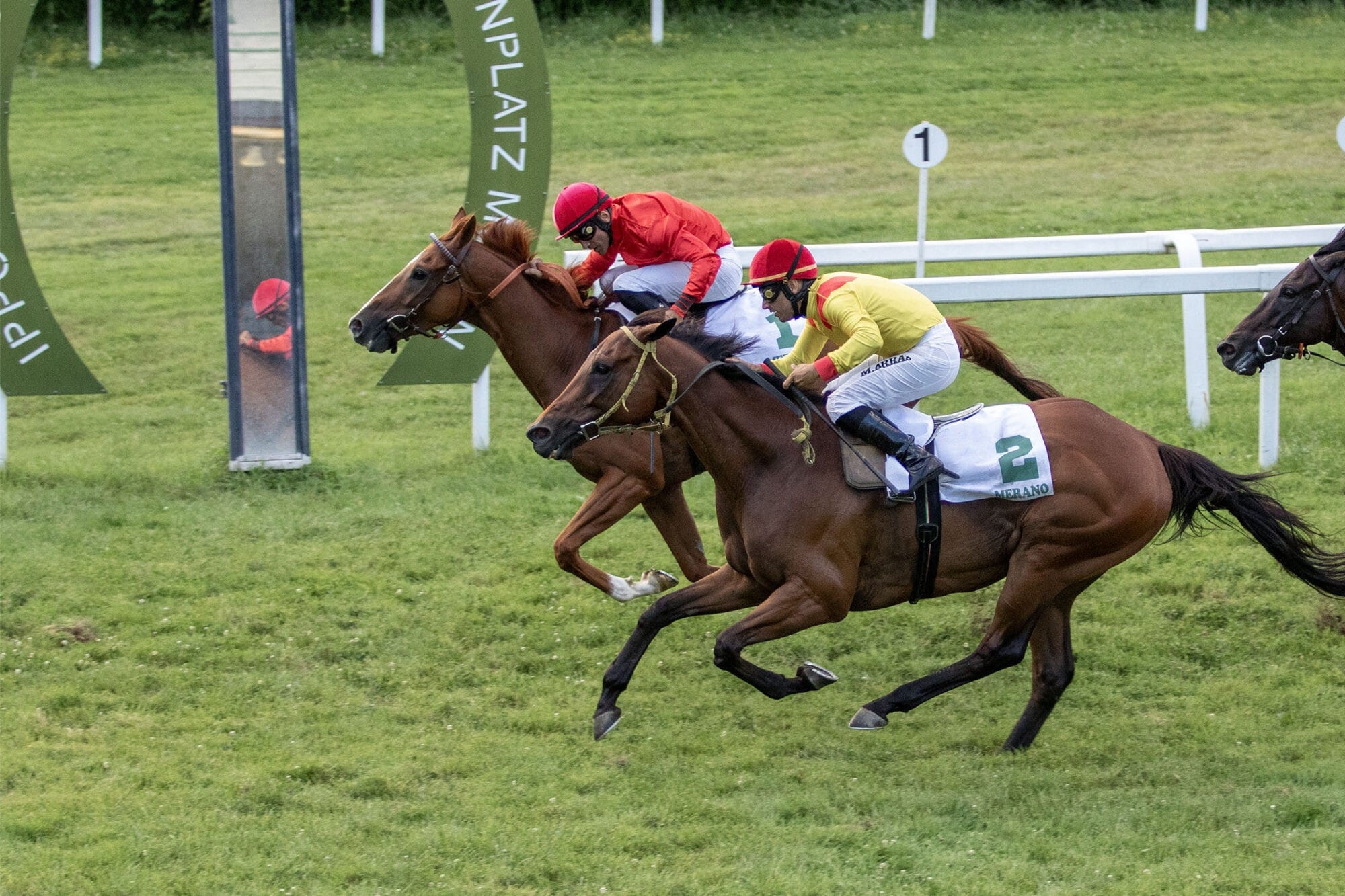 Newport Bay überrascht die Konkurrenz – 2 Siege für Dario Vargiu