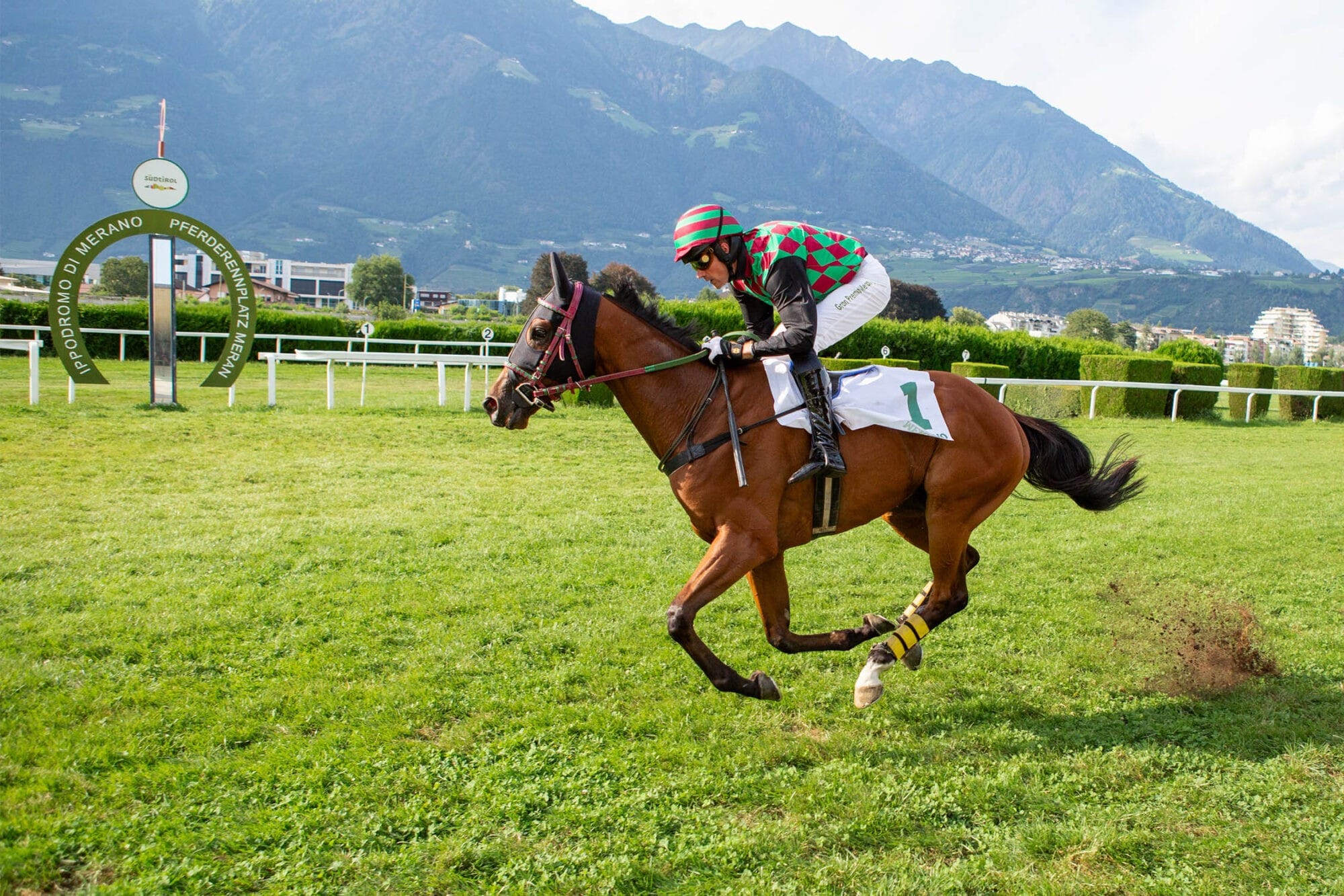 Afar King und Excellent Drago siegen in den Rennen der Hürdendebutanten