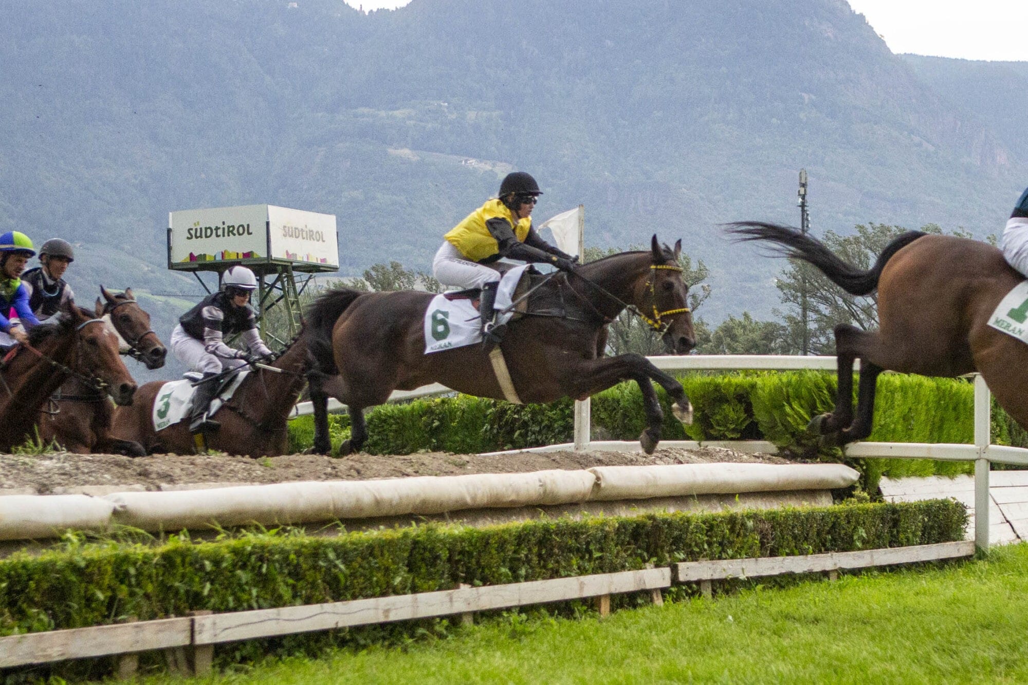 Am Sonntag, 1. September eröffnet der Preis Piero & Franco Richard die Reihe der großen Herbstklassiker