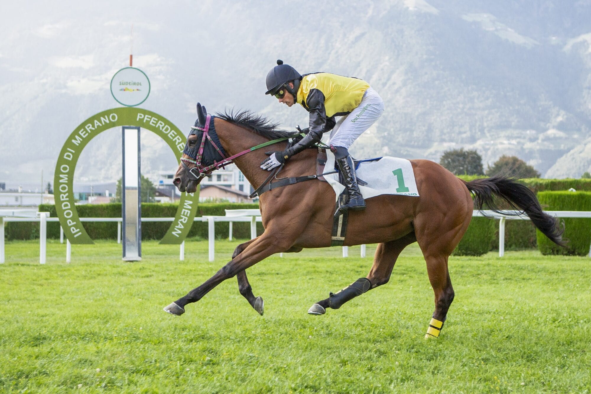 Mensch und Afar King siegen in den Hauptrennen