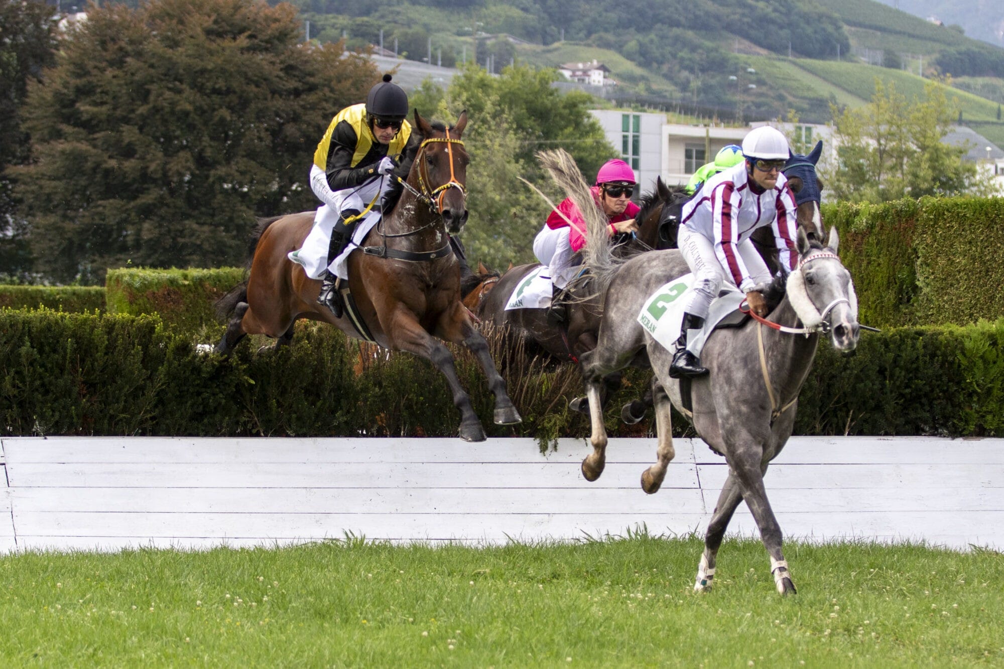 An diesem Wochenende gehen auf dem Meraner Pferderennplatz 2 Renntage in Szene