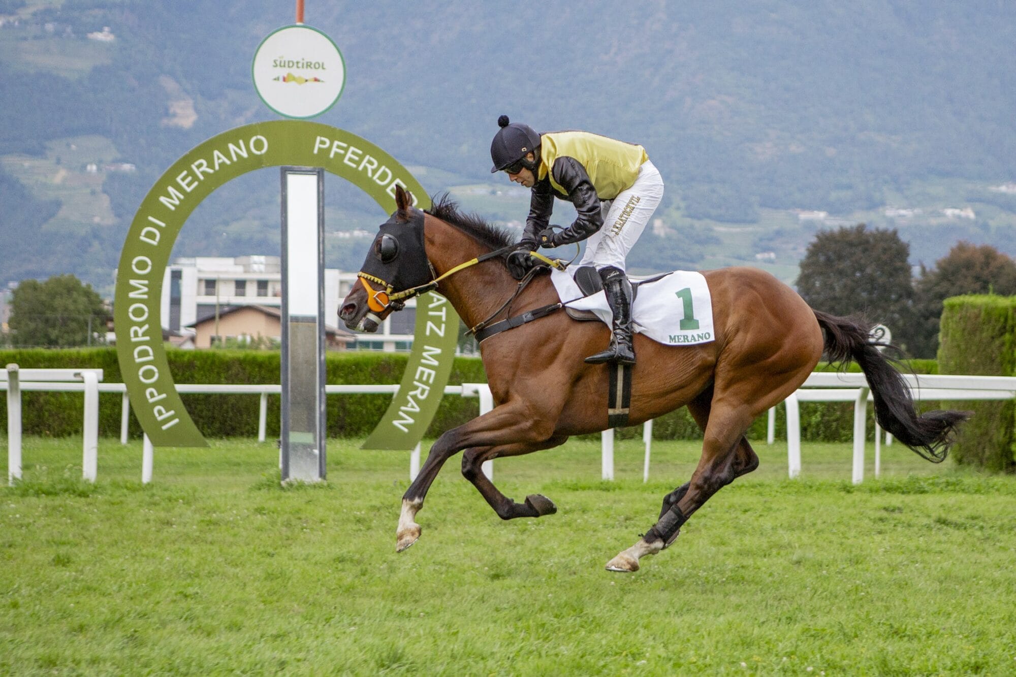 Ches Demonmirail siegt im Preis MASAF – L’Estran gestürzt