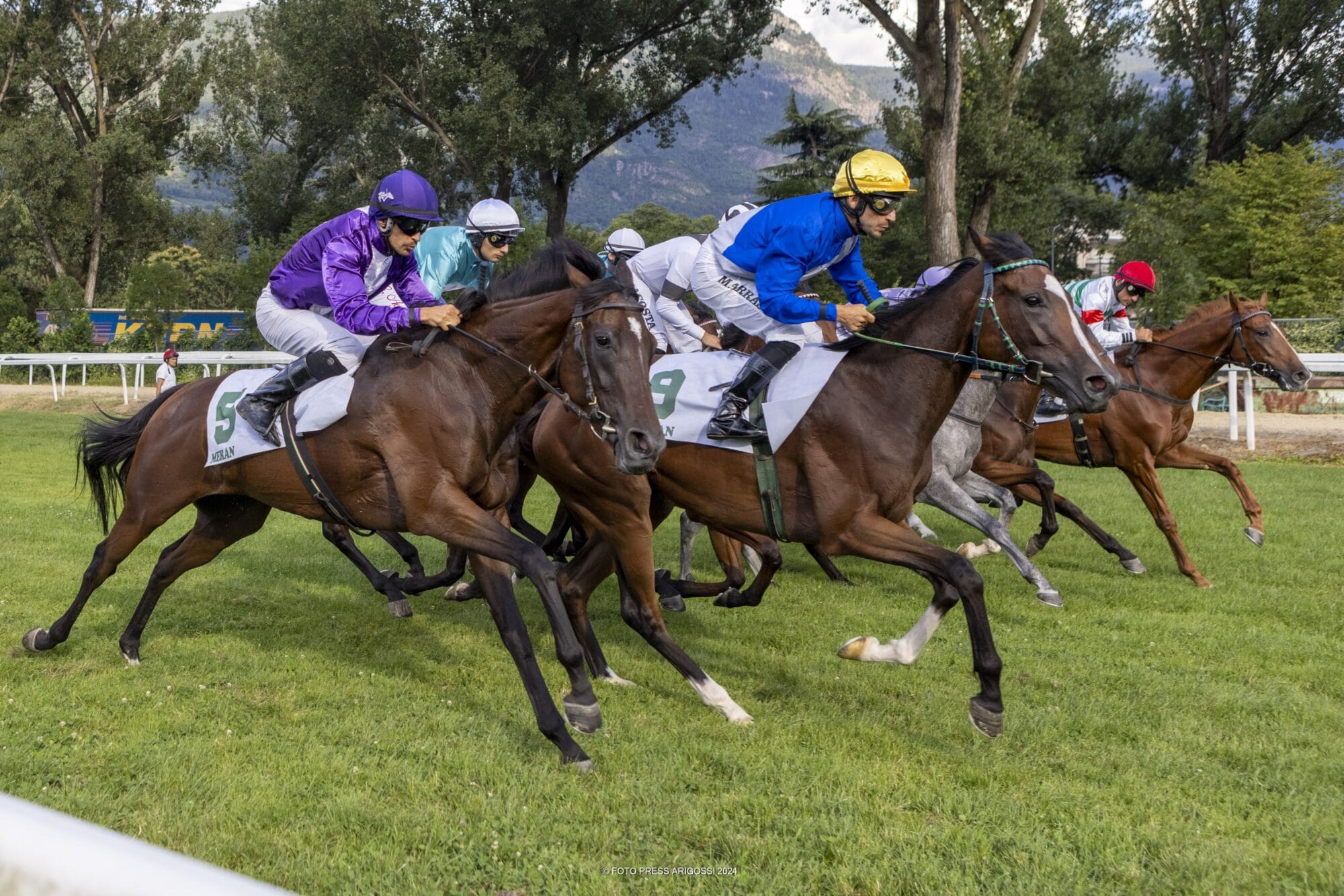 Dorf Tirol Day am meraner Pferderennplatz am Sonntag 4. August