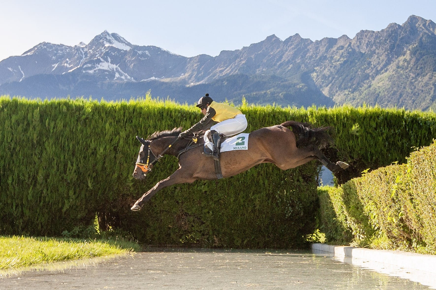 L’Estran ist der große Name. Der Rekordsieger aus dem Rennstall Aichner führt die Liste der Starter im Preis Masaf – Memorial Massimo Caimi