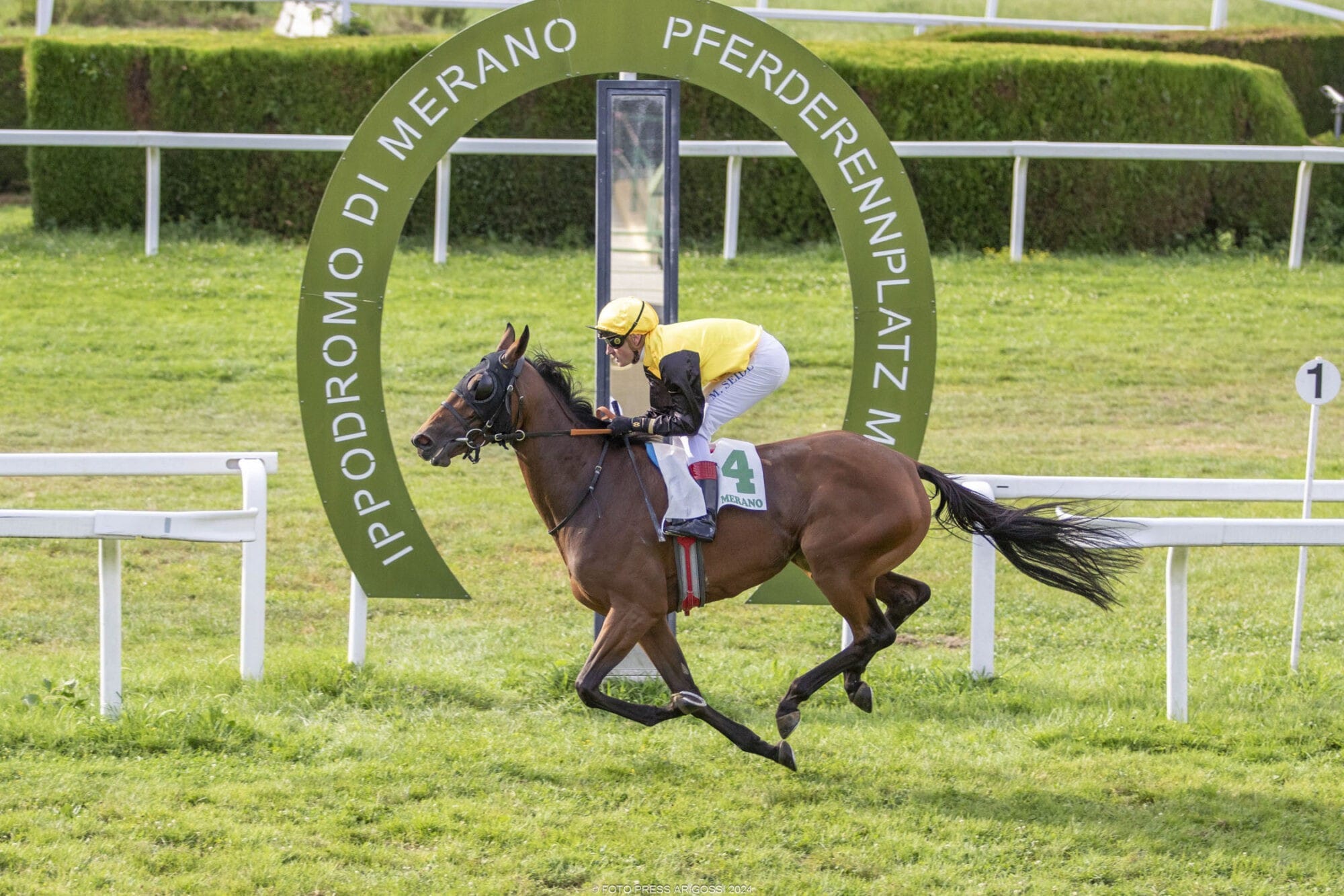 Listenrennen gehen an Quetame und Lips Freedom