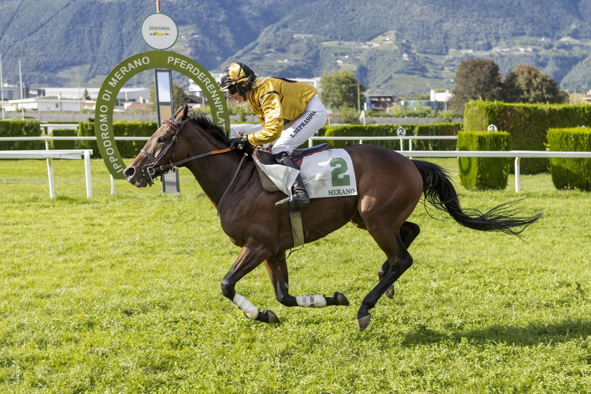 Sky Constellation siegt im Hauptrennen –  3 Siege für das Team Aichner
