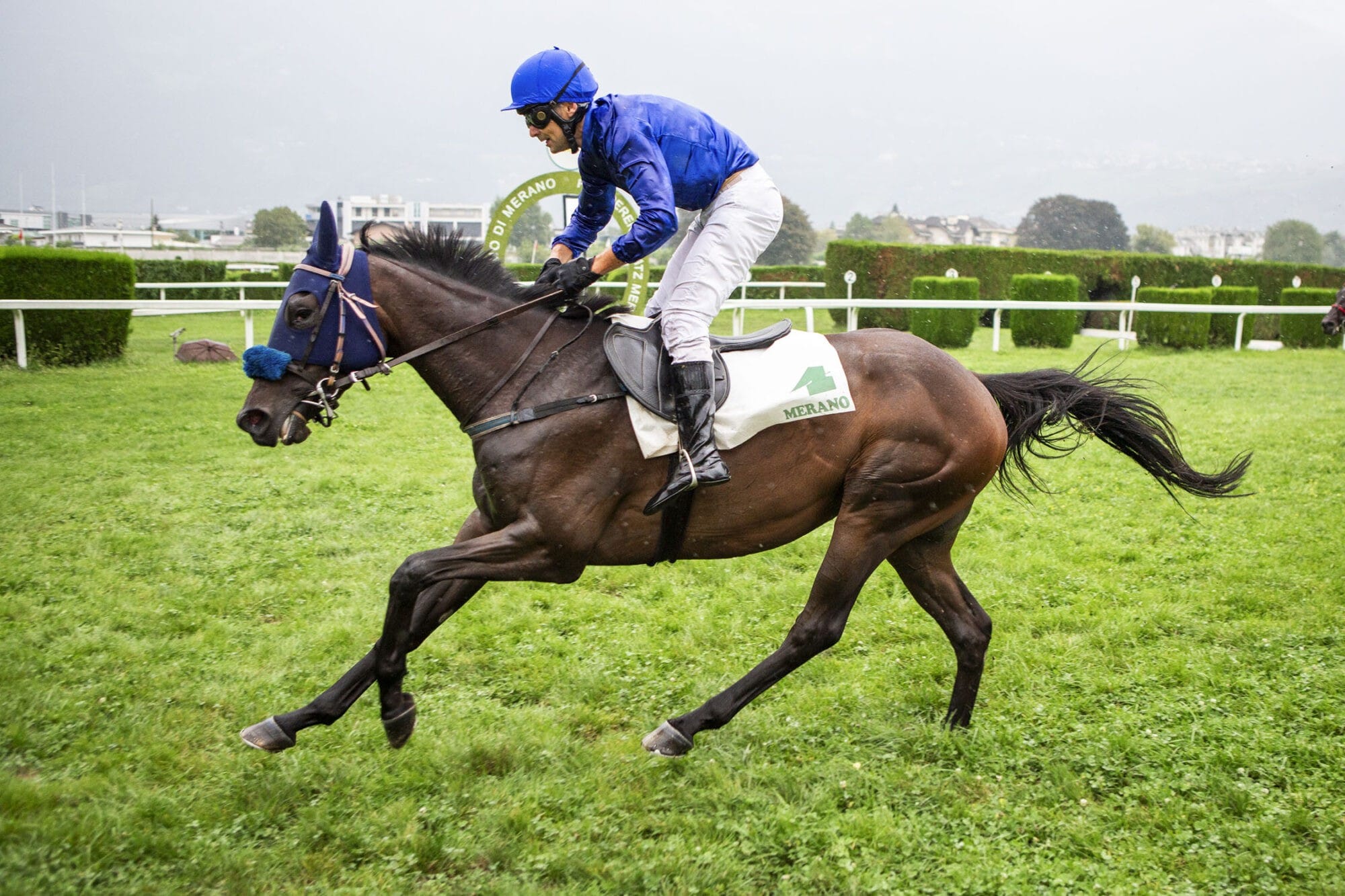 Mr. Mistoffelees siegt im Preis Ettore Tagliabue – 3 Siege für Josef Bartos